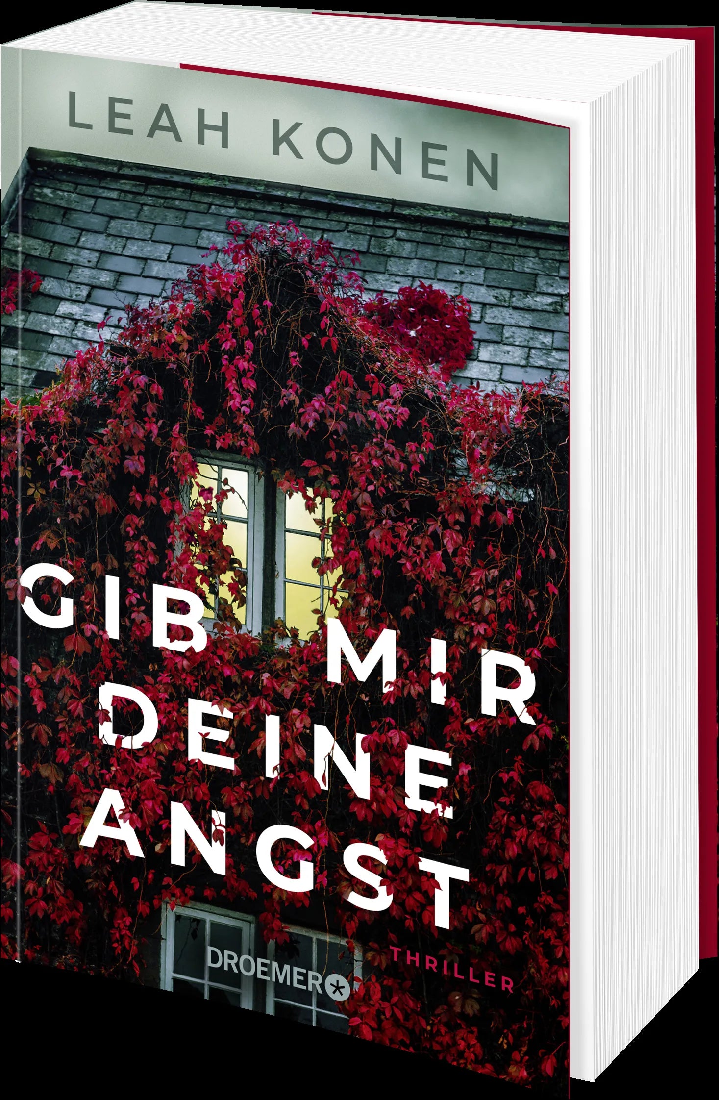 Produktansicht: Gib mir deine Angst (Paperback)