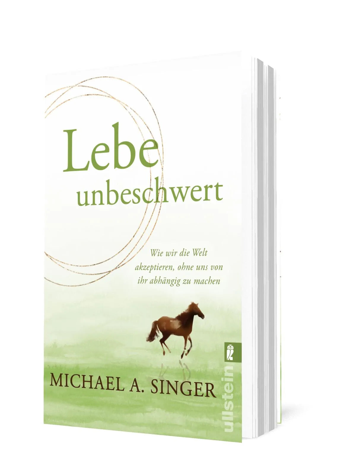 Detailansicht: Lebe unbeschwert (Taschenbuch)