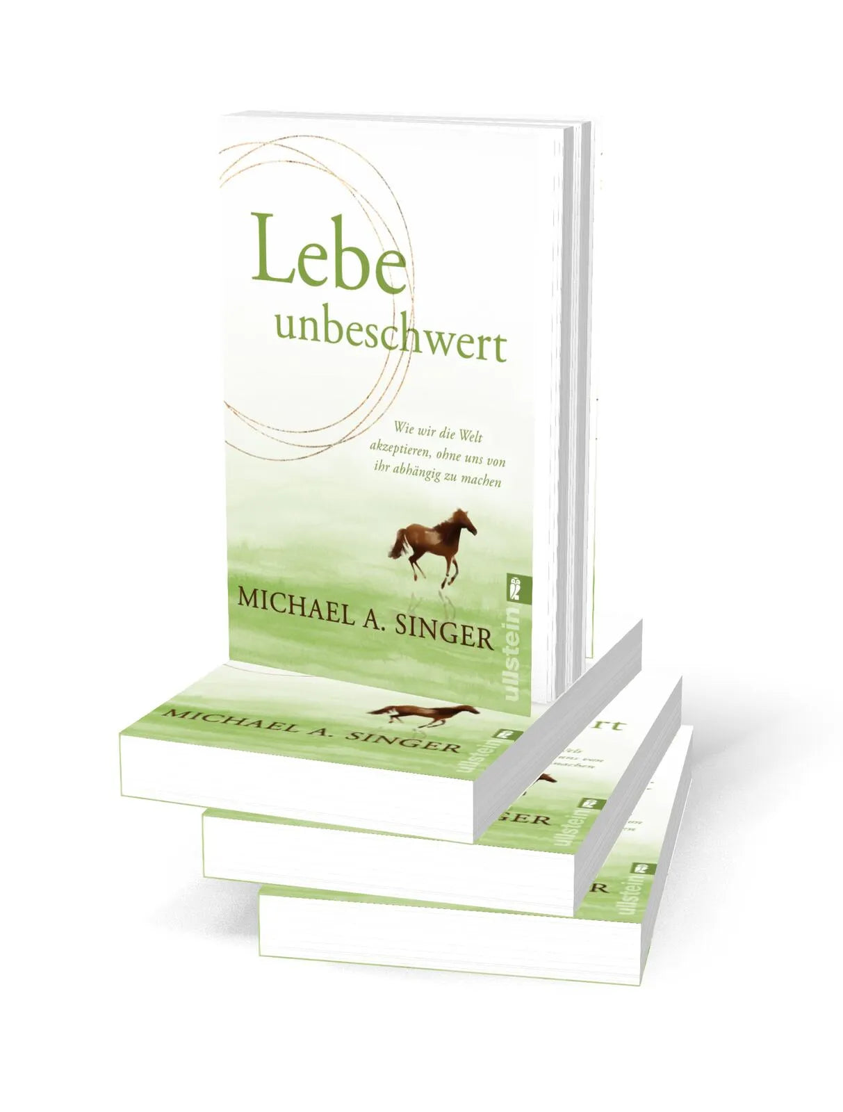 Detailansicht: Lebe unbeschwert (Taschenbuch)