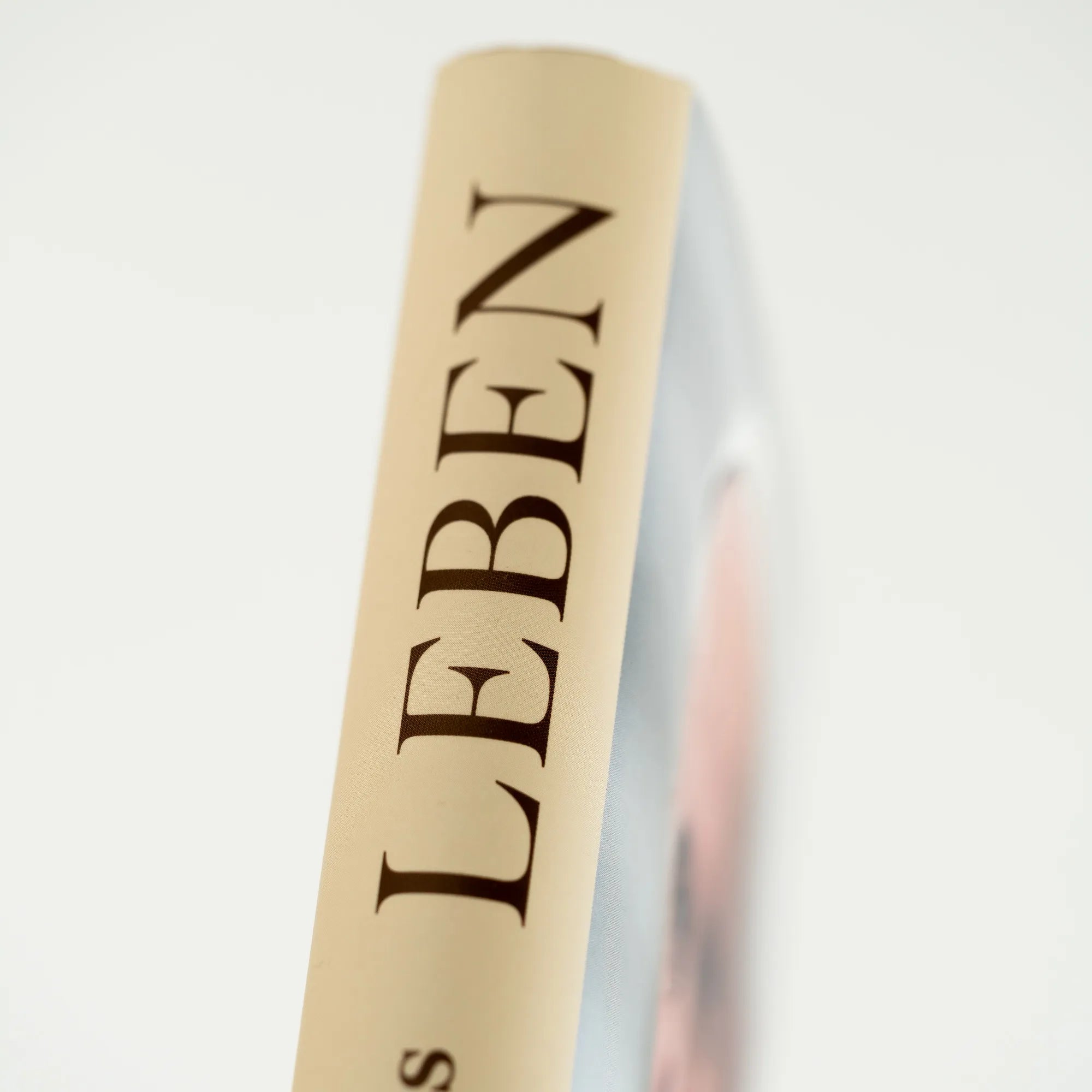 Produktansicht: LEBEN. Meine Geschichte in der Geschichte (Gebundene Ausgabe)