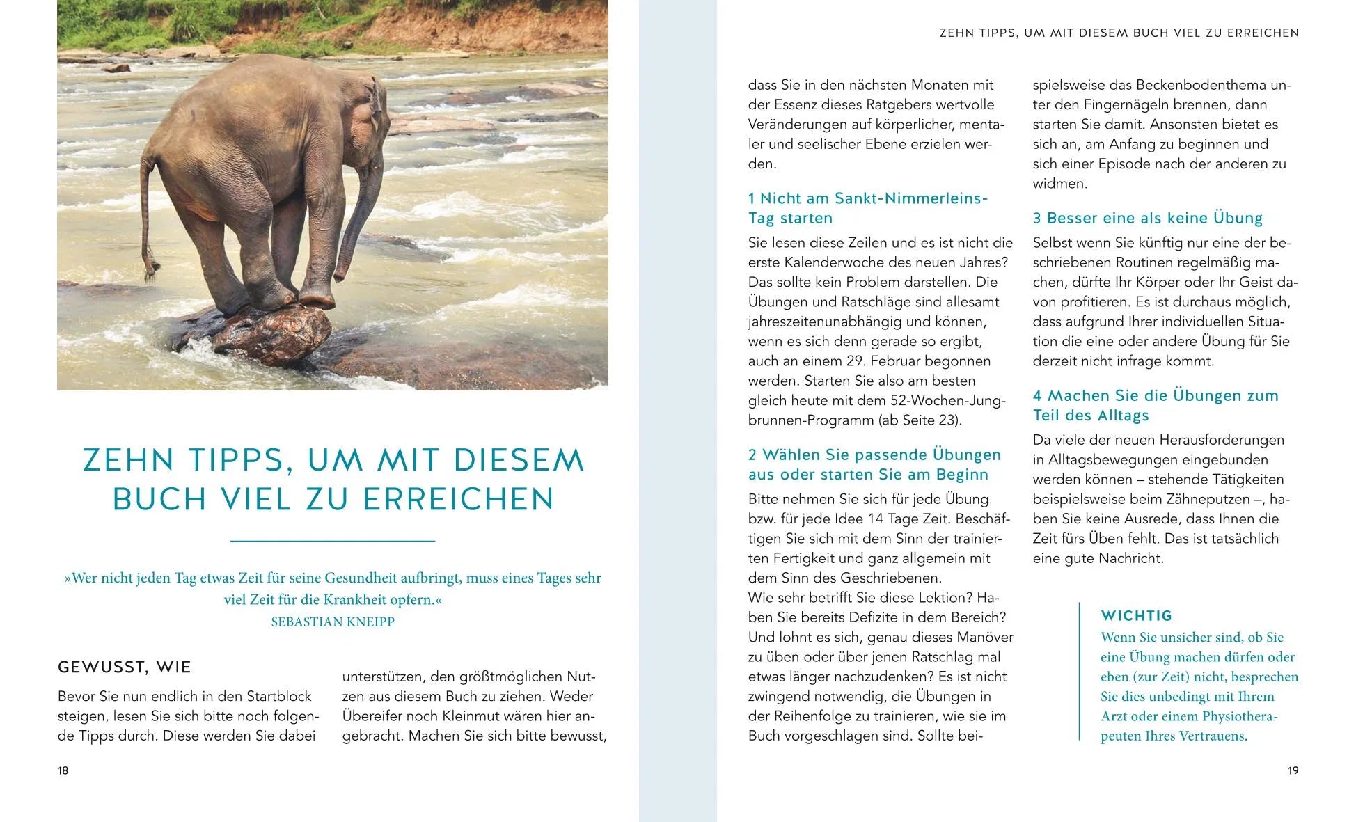Abbildung von 'Leben ohne Fallen'