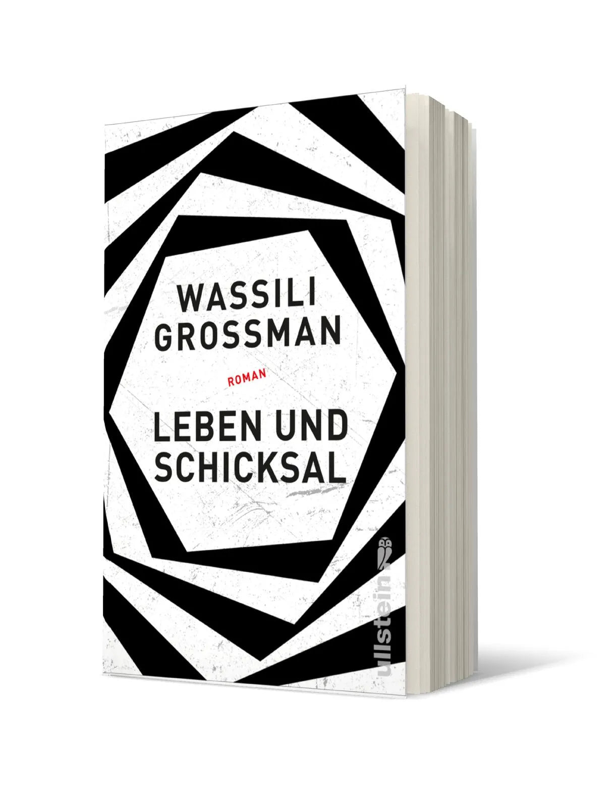 Produktansicht: Leben und Schicksal (Taschenbuch)