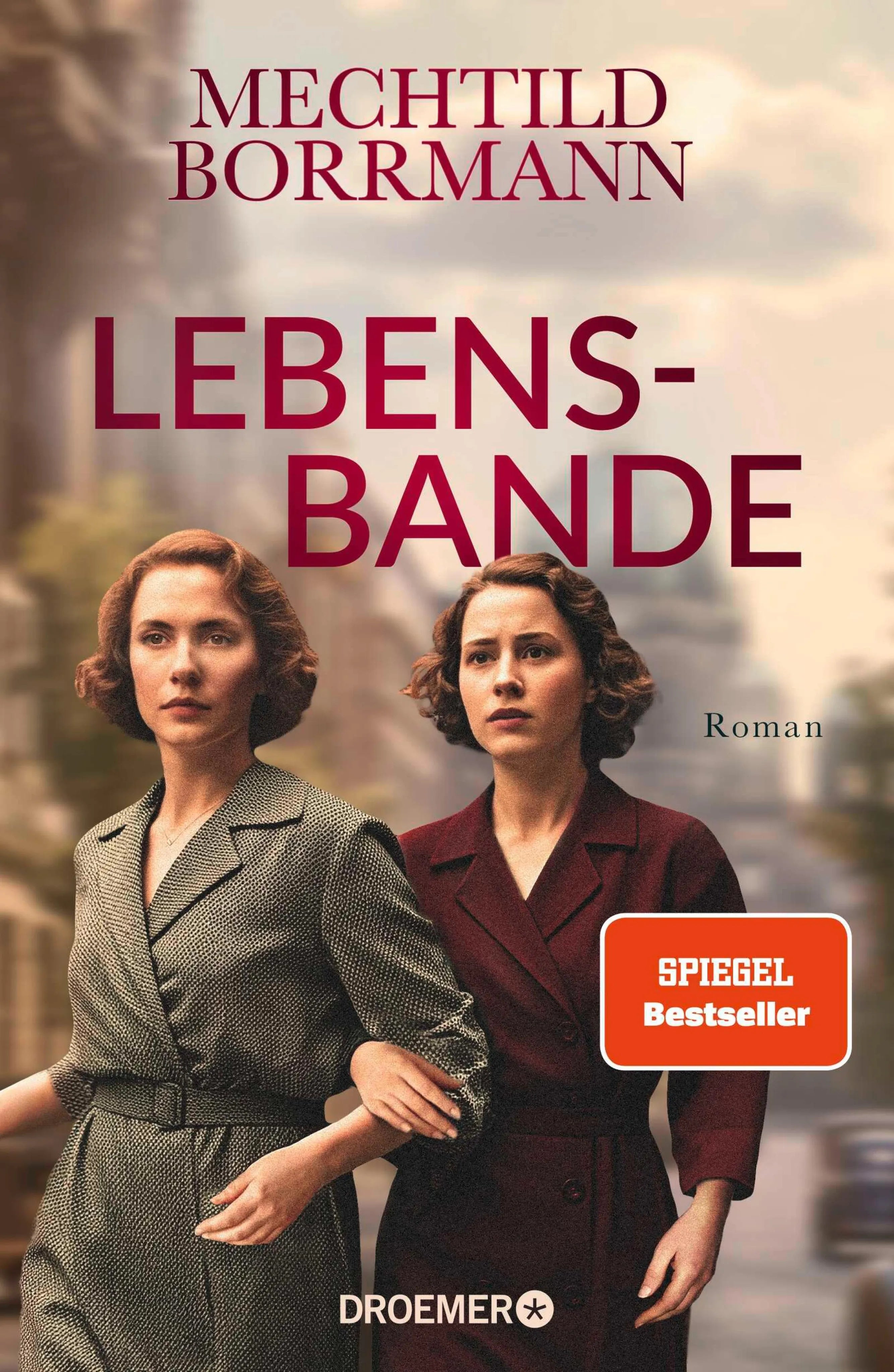 Cover: Lebensbande (E-Book) von Mechtild Borrmann