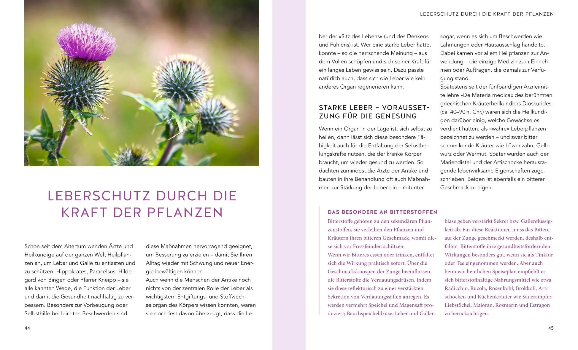 Abbildung von 'Leber & Galle entgiften und natürlich stärken'