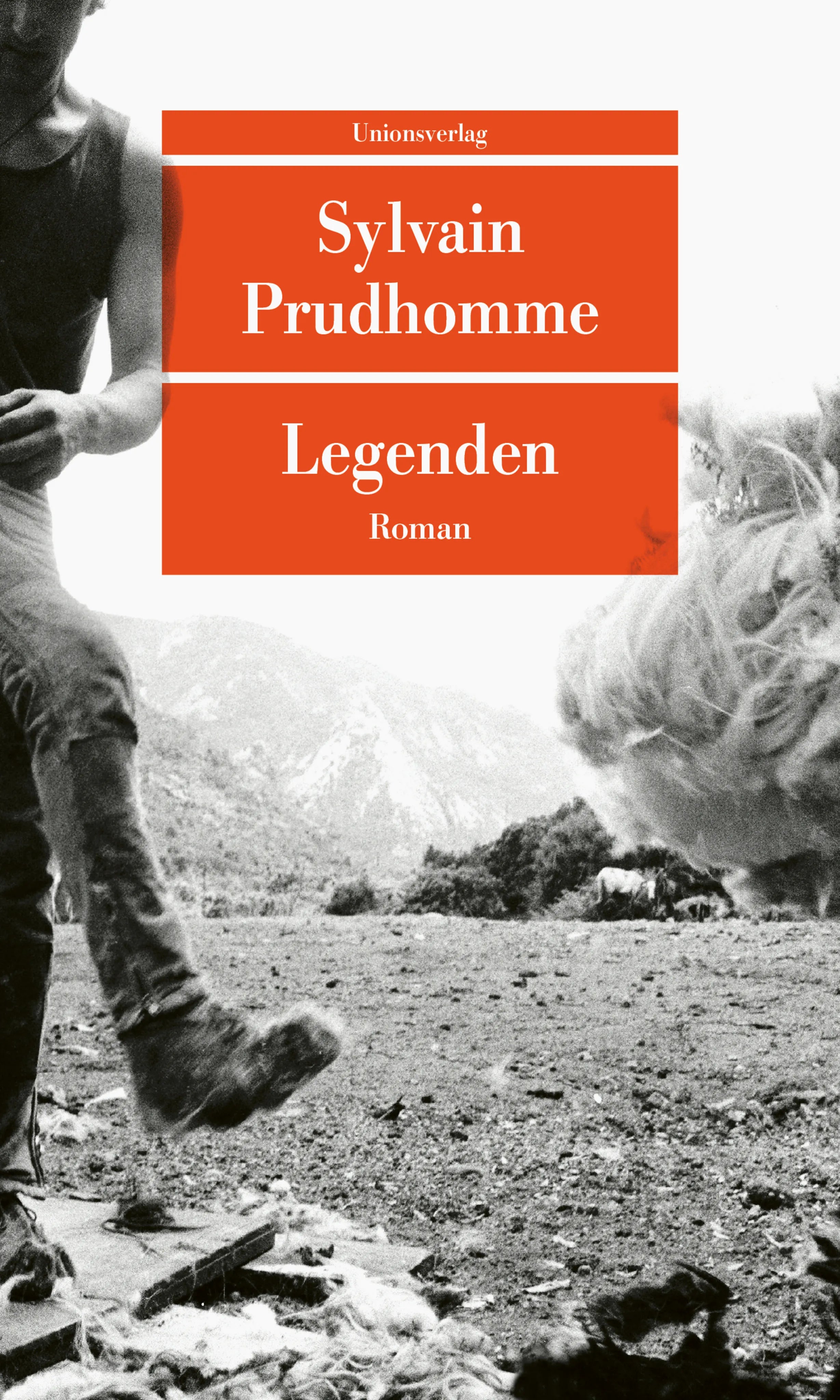 Buchcover von 'Legenden' - Taschenbuch von Sylvain Prudhomme
