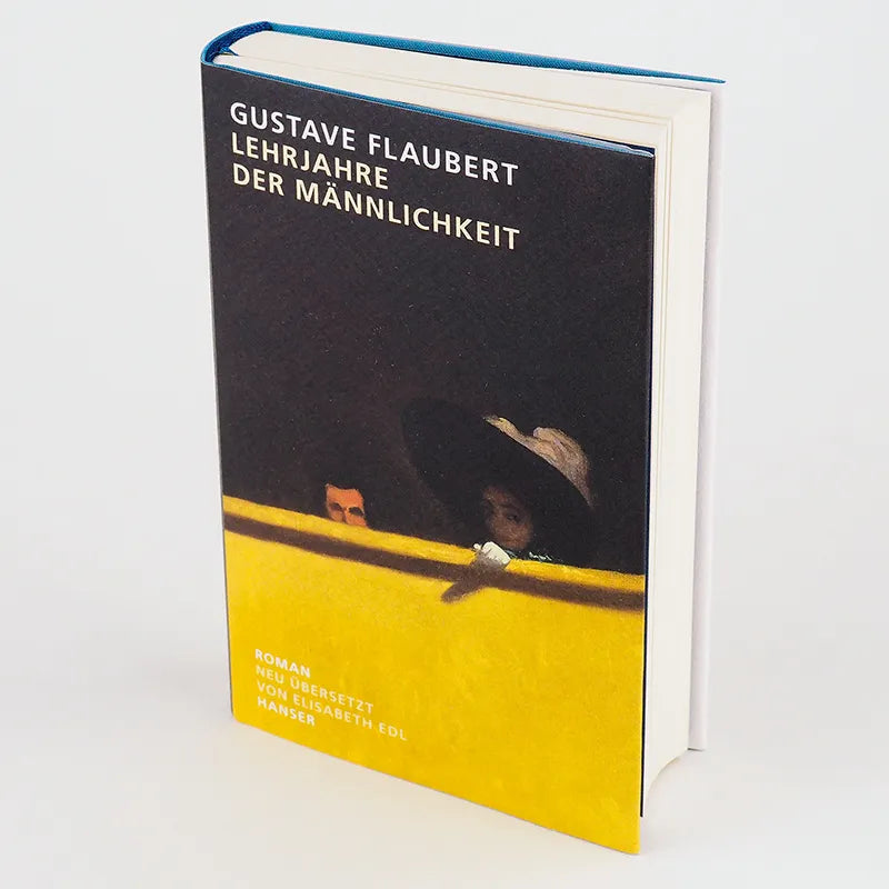 Gustave Flaubert - Lehrjahre der Männlichkeit