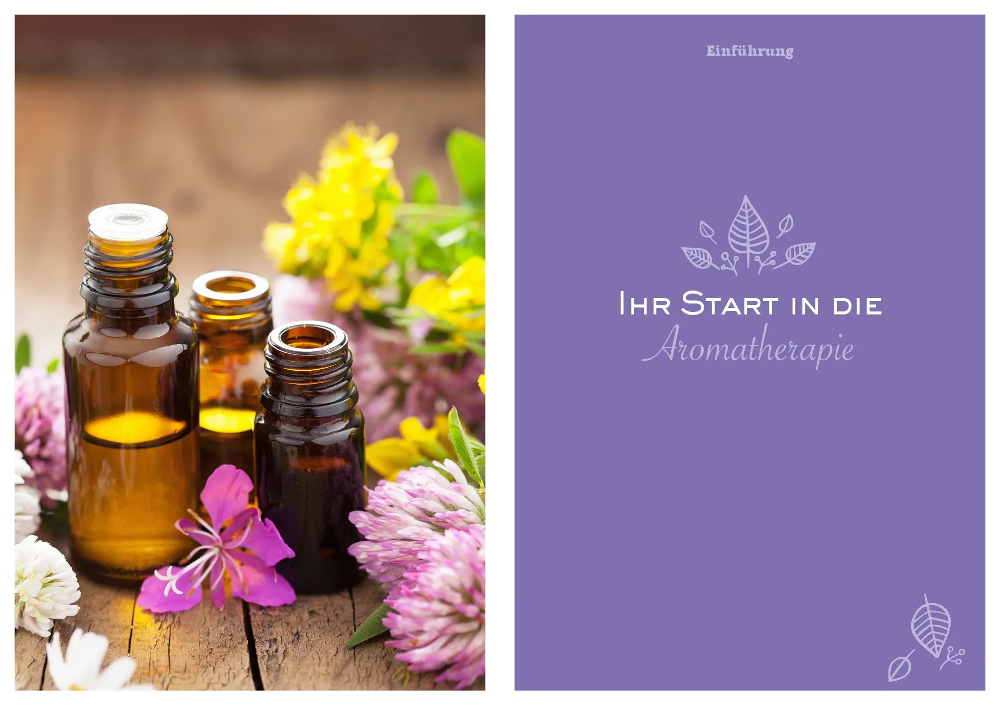 Innenansicht von 'Leichter abnehmen mit Aromatherapie' - Taschenbuch