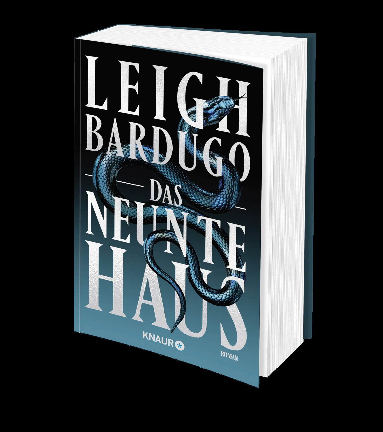 Produktansicht: Das neunte Haus (Paperback)