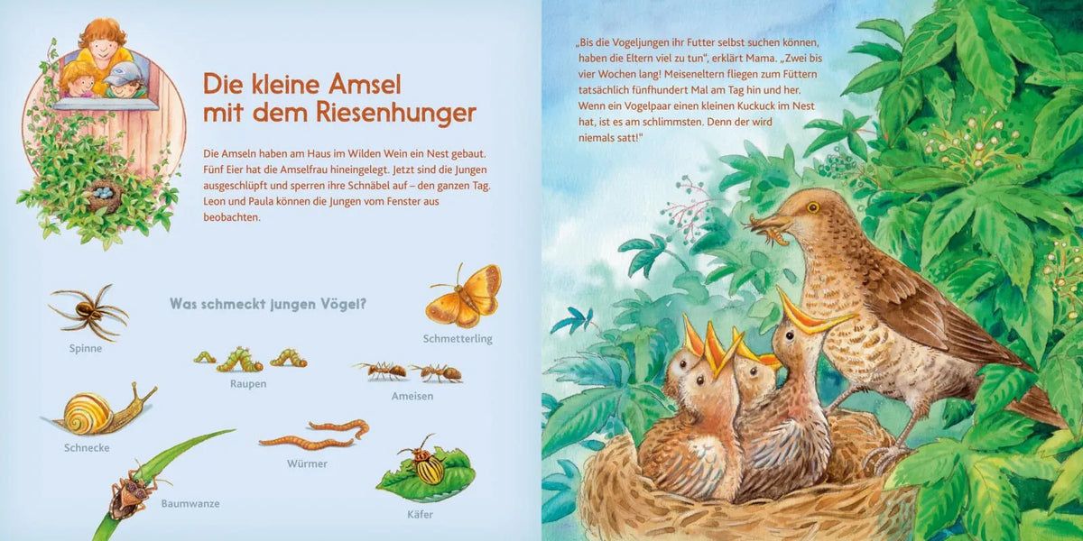 Detailansicht: LESEMAUS 195: Die kleine Meise und andere Vögel bei uns (Taschenbuch)
