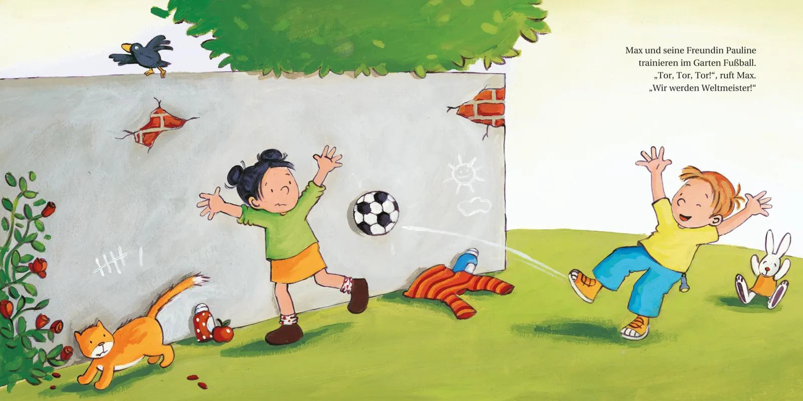 Produktansicht: LESEMAUS 72: Max wird Fußball-Weltmeister (Taschenbuch)