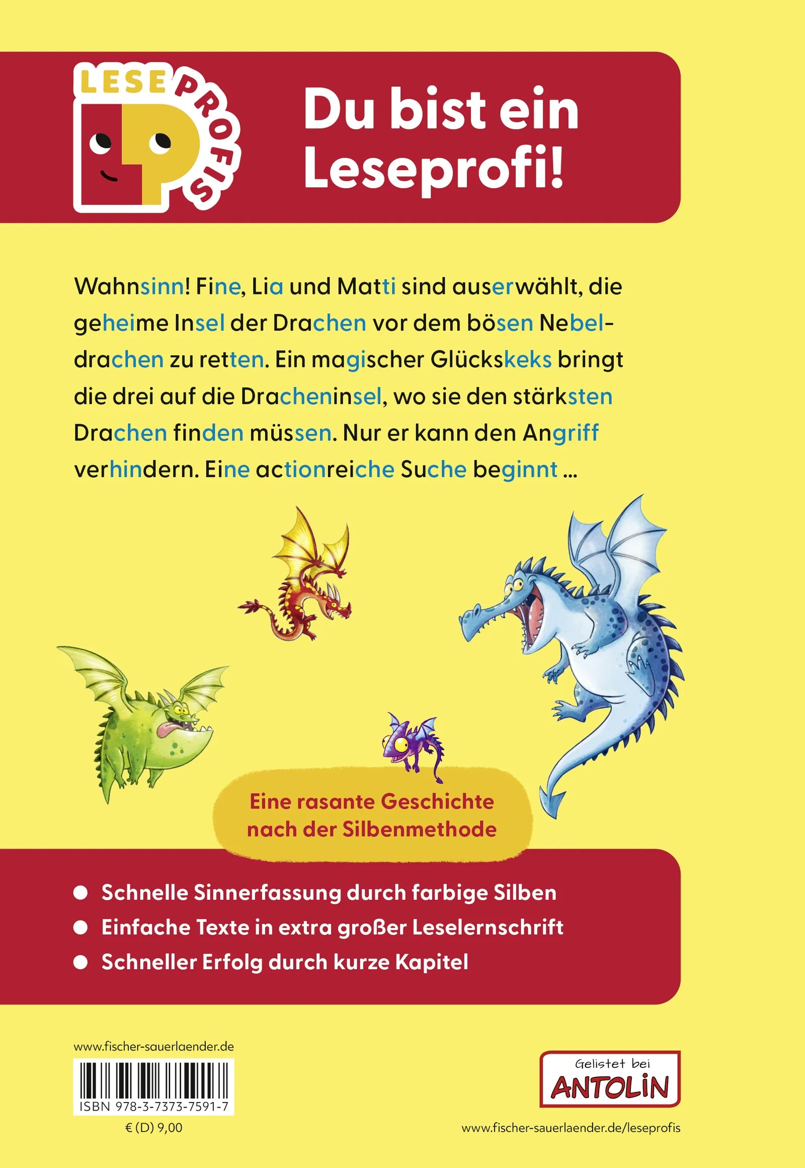 Buchrückseite von 'Leseprofis – Silbe-für-Silbe: Das Geheimnis der Dracheninsel, 1. Klasse' mit Klappentext - Gebundene Ausgabe