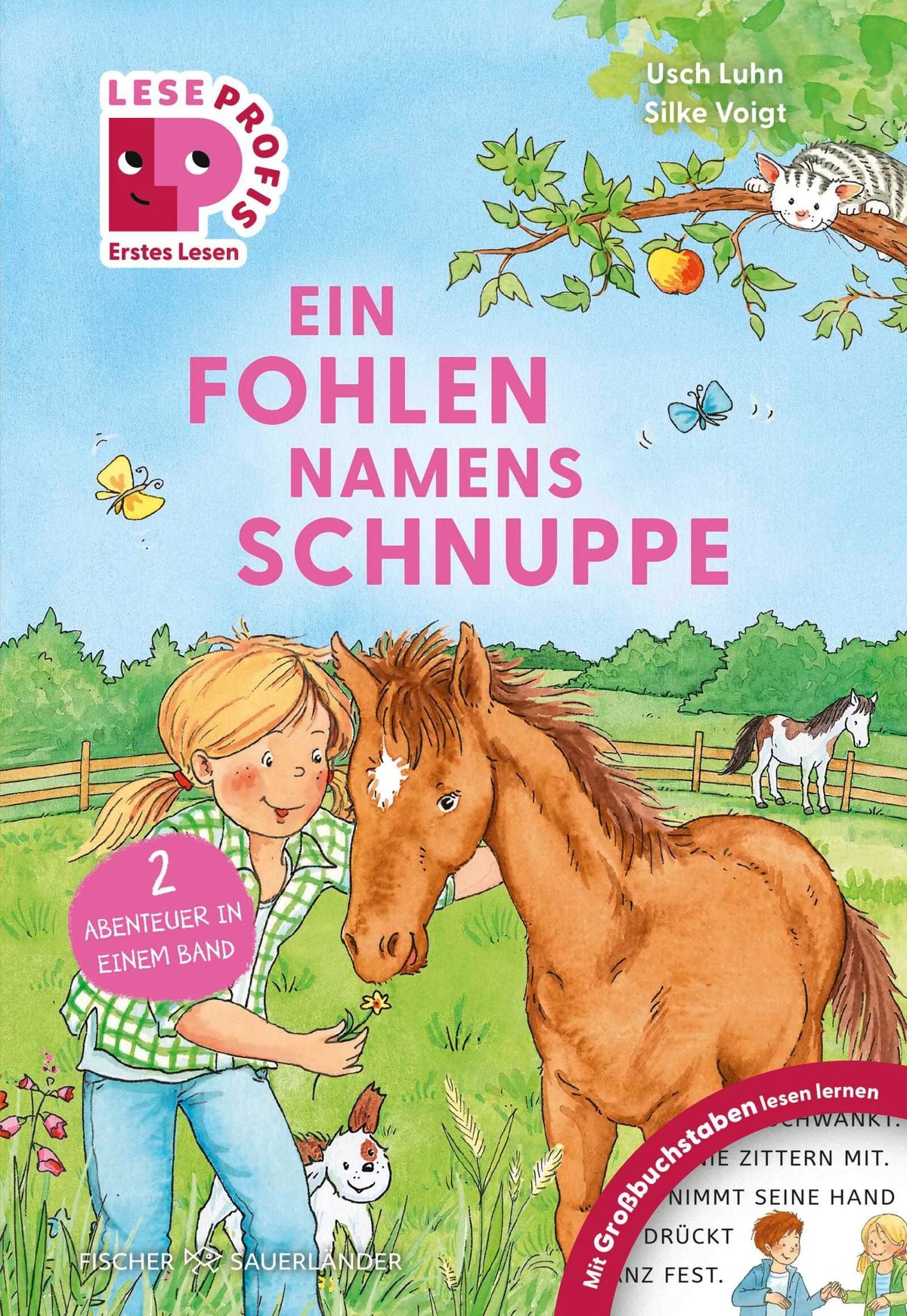 Cover: Leseprofis – GROSSBUCHSTABEN: EIN FOHLEN NAMENS SCHNUPPE, 1. Klasse (Hardcover) von Usch Luhn