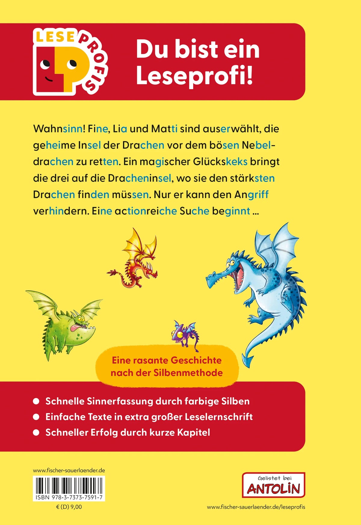 Rückseite: Leseprofis – Silbe-für-Silbe: Das Geheimnis der Dracheninsel, 1. Klasse (Hardcover)