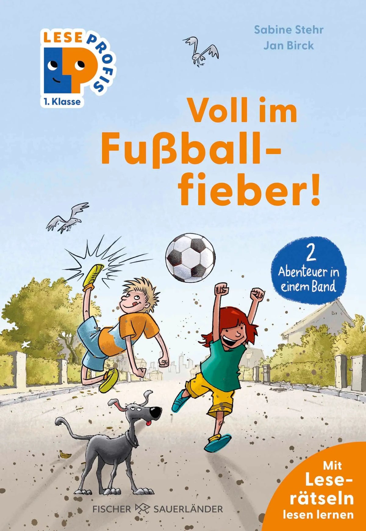 Cover: Leseprofis – Voll im Fußballfieber!, 1. Klasse (Hardcover) von Sabine Stehr