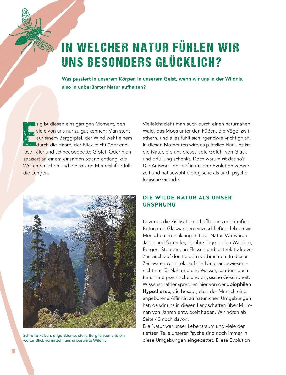 Produktansicht: Let's go wild! (Gebundene Ausgabe)