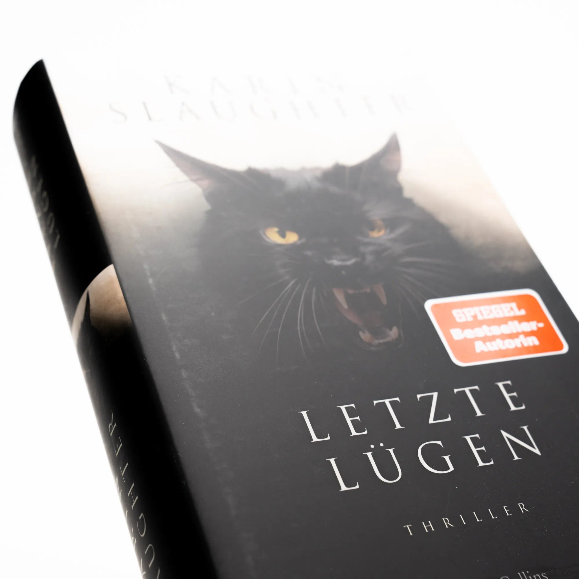 Abbildung von 'Letzte Lügen'