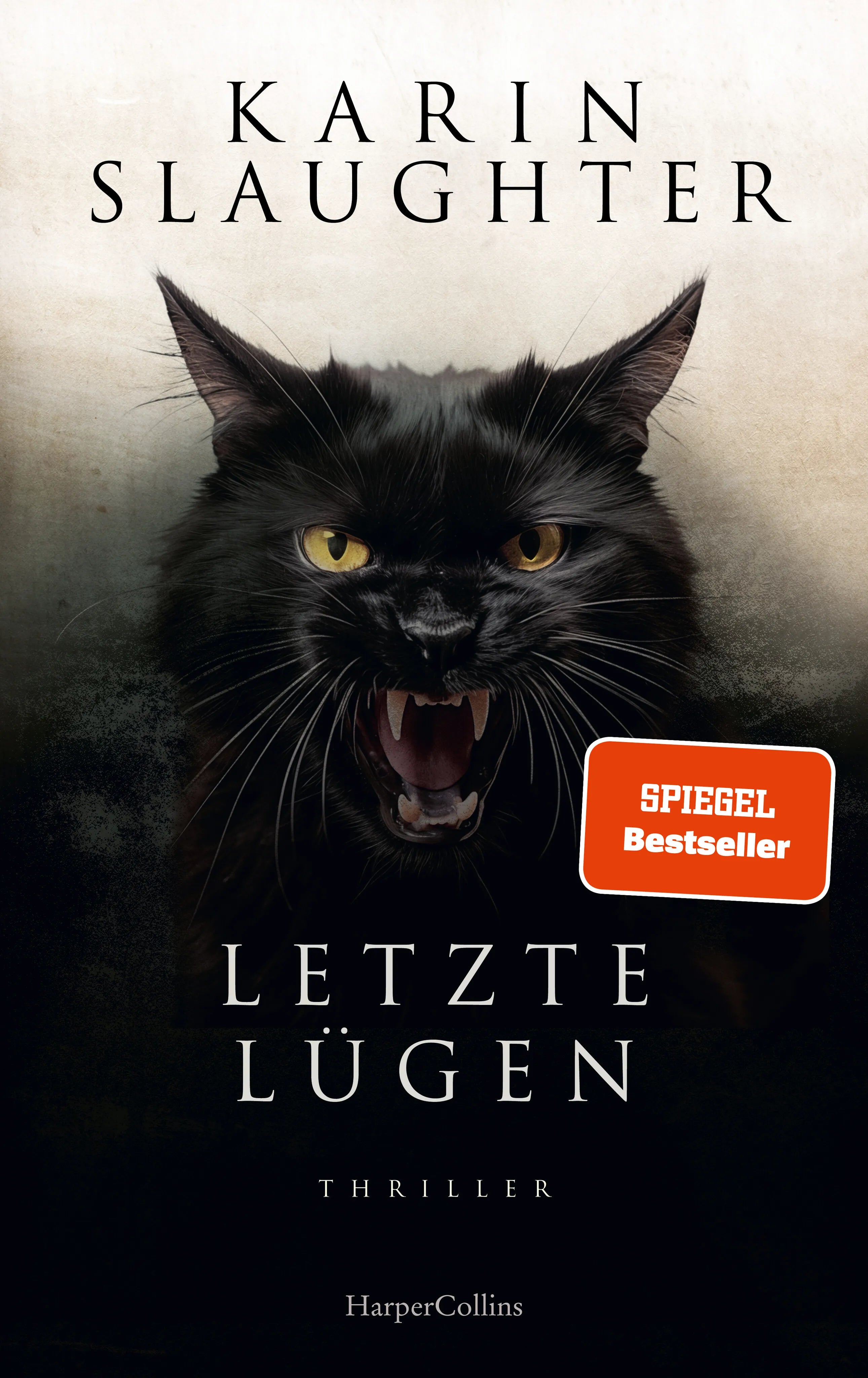 Buchcover von 'Letzte Lügen' - Gebundene Ausgabe von Karin Slaughter