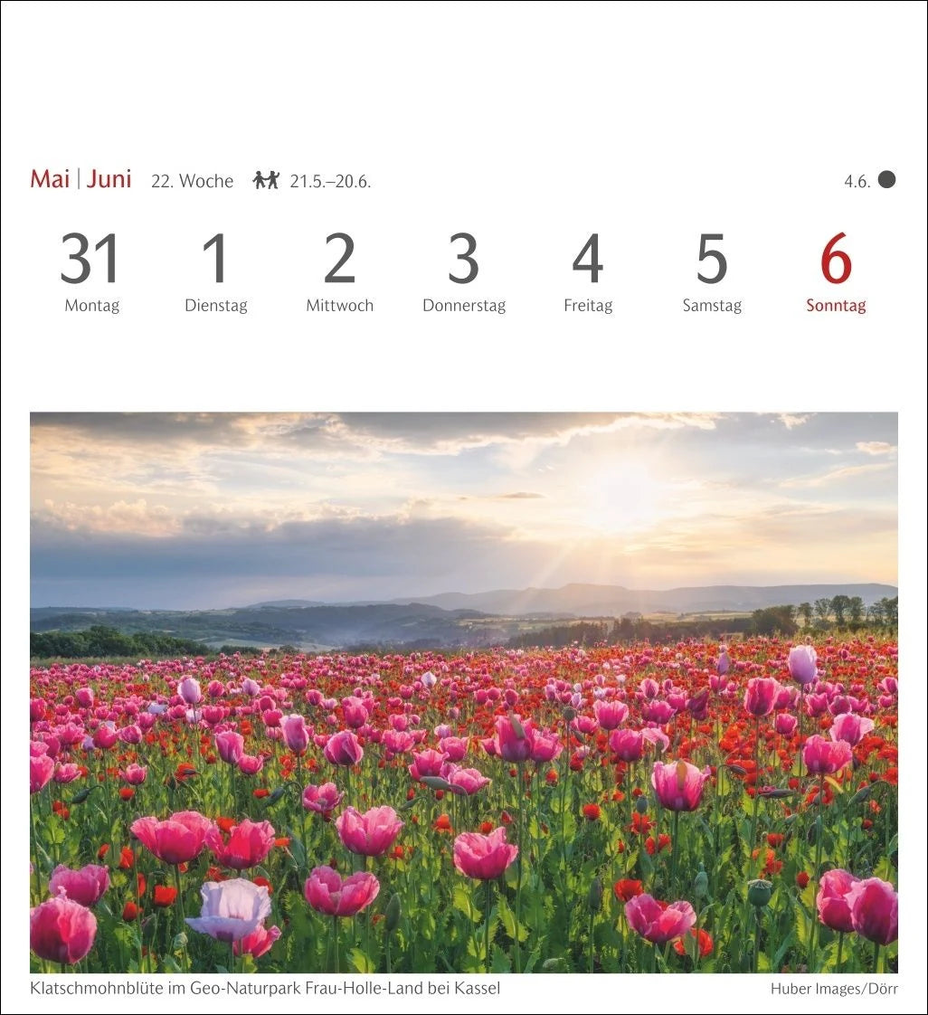 Lichtblicke Postkartenkalender 2027 - Wochenkalender mit 53 Postkarten – Ansicht