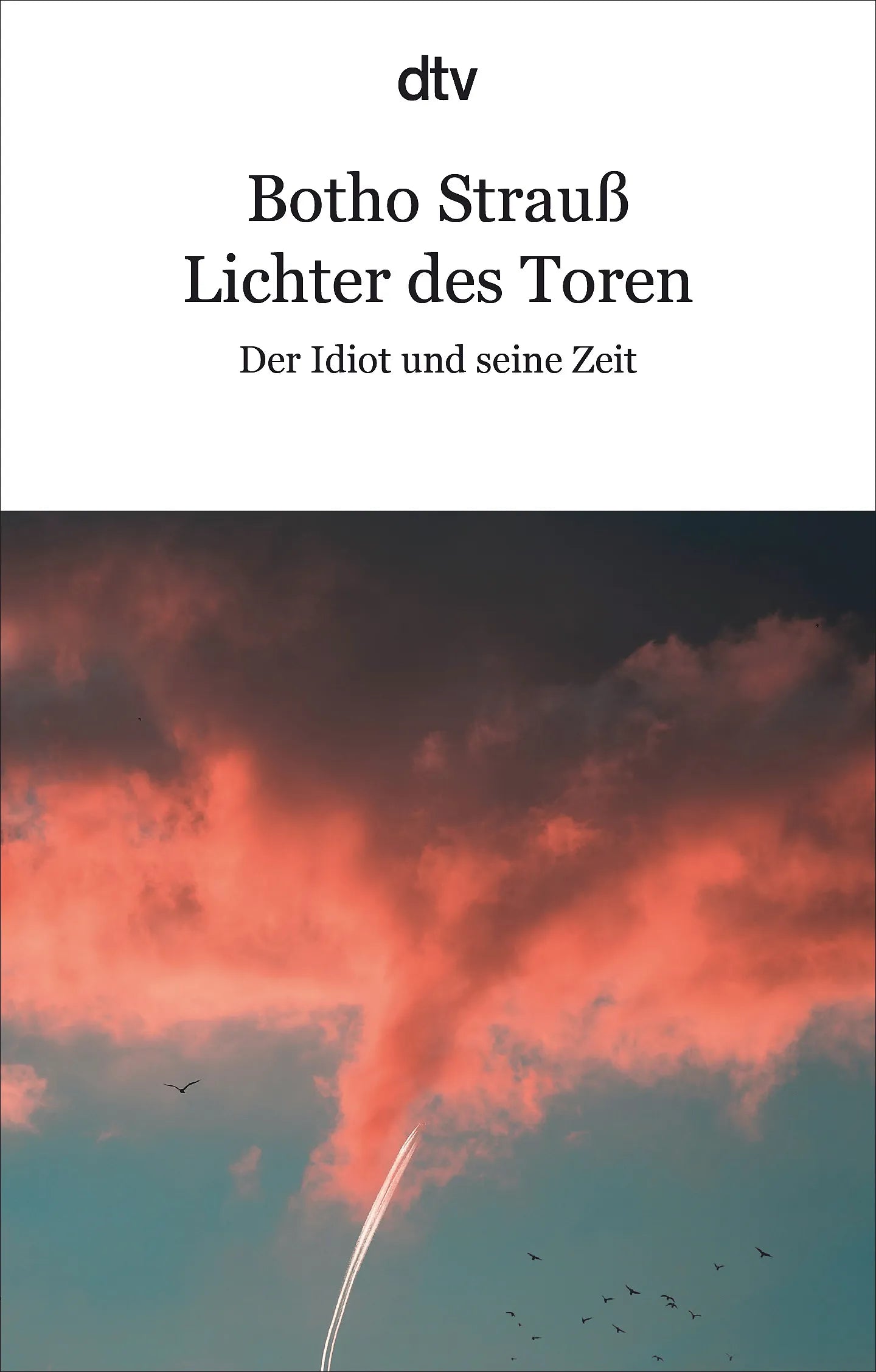 Buchcover von 'Lichter des Toren' - Taschenbuch von Botho Strauß