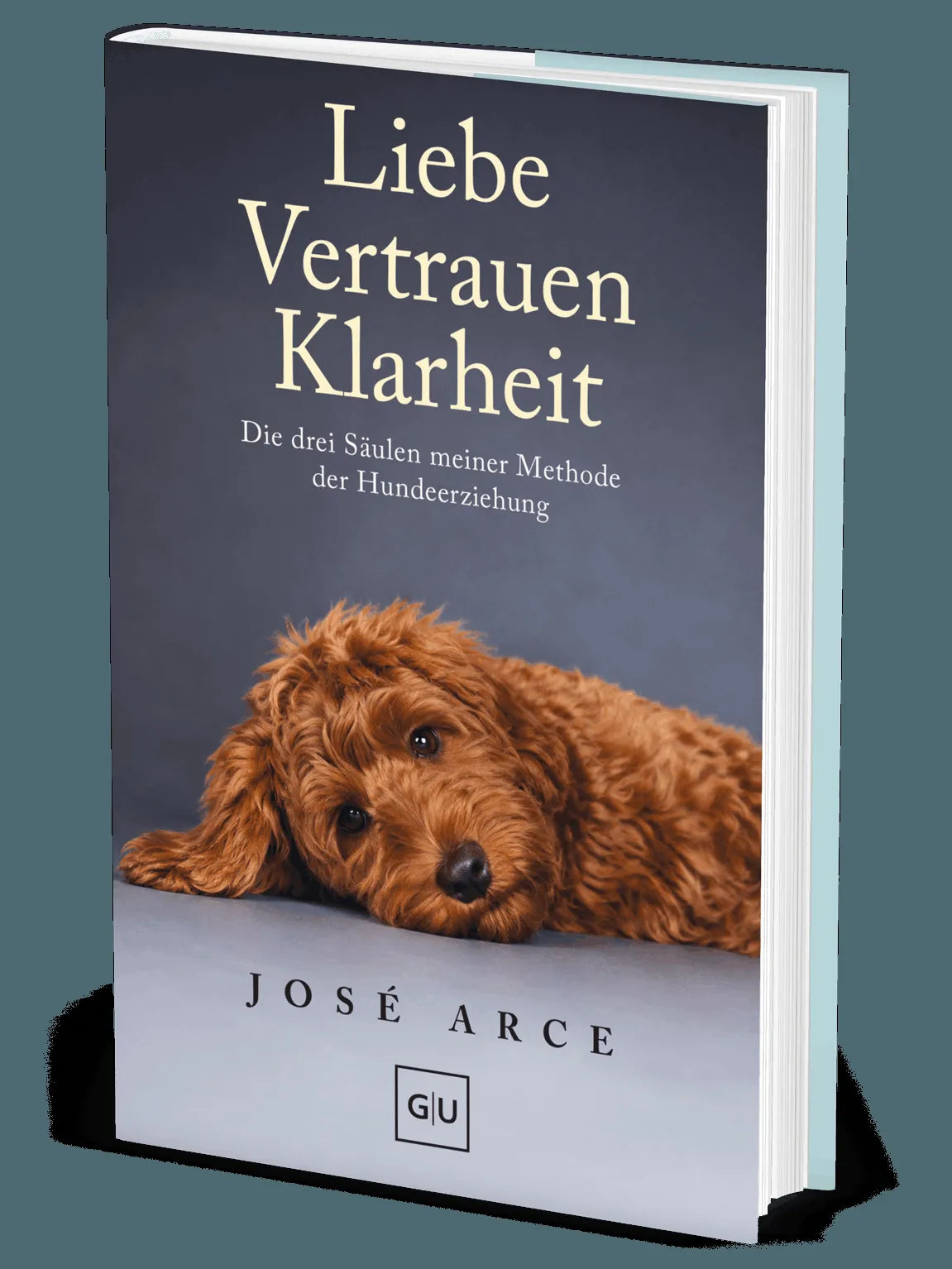 Cover: Liebe Vertrauen Klarheit (Hardcover) von José Arce