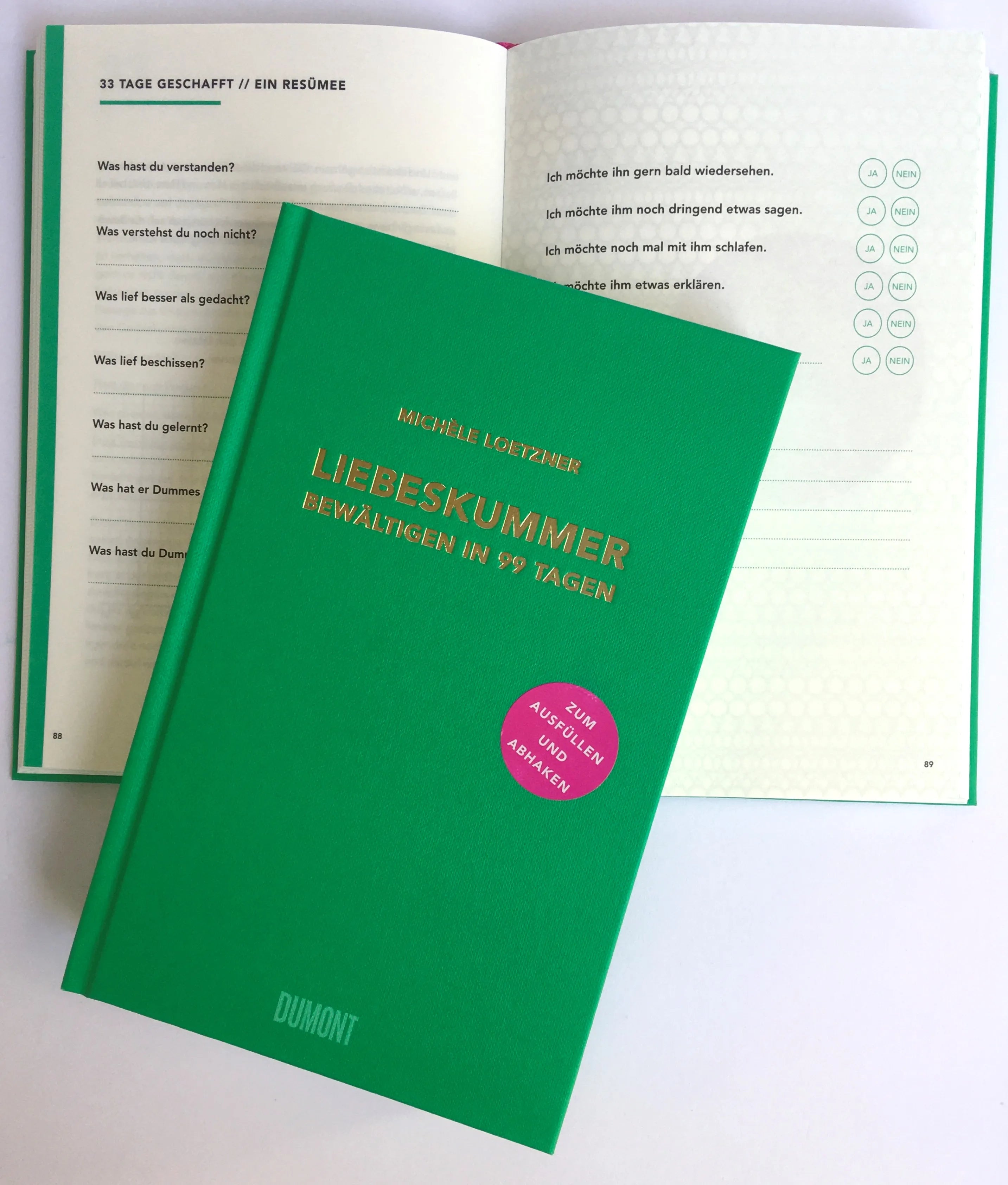Produktansicht: Liebeskummer bewältigen in 99 Tagen (Gebundene Ausgabe)