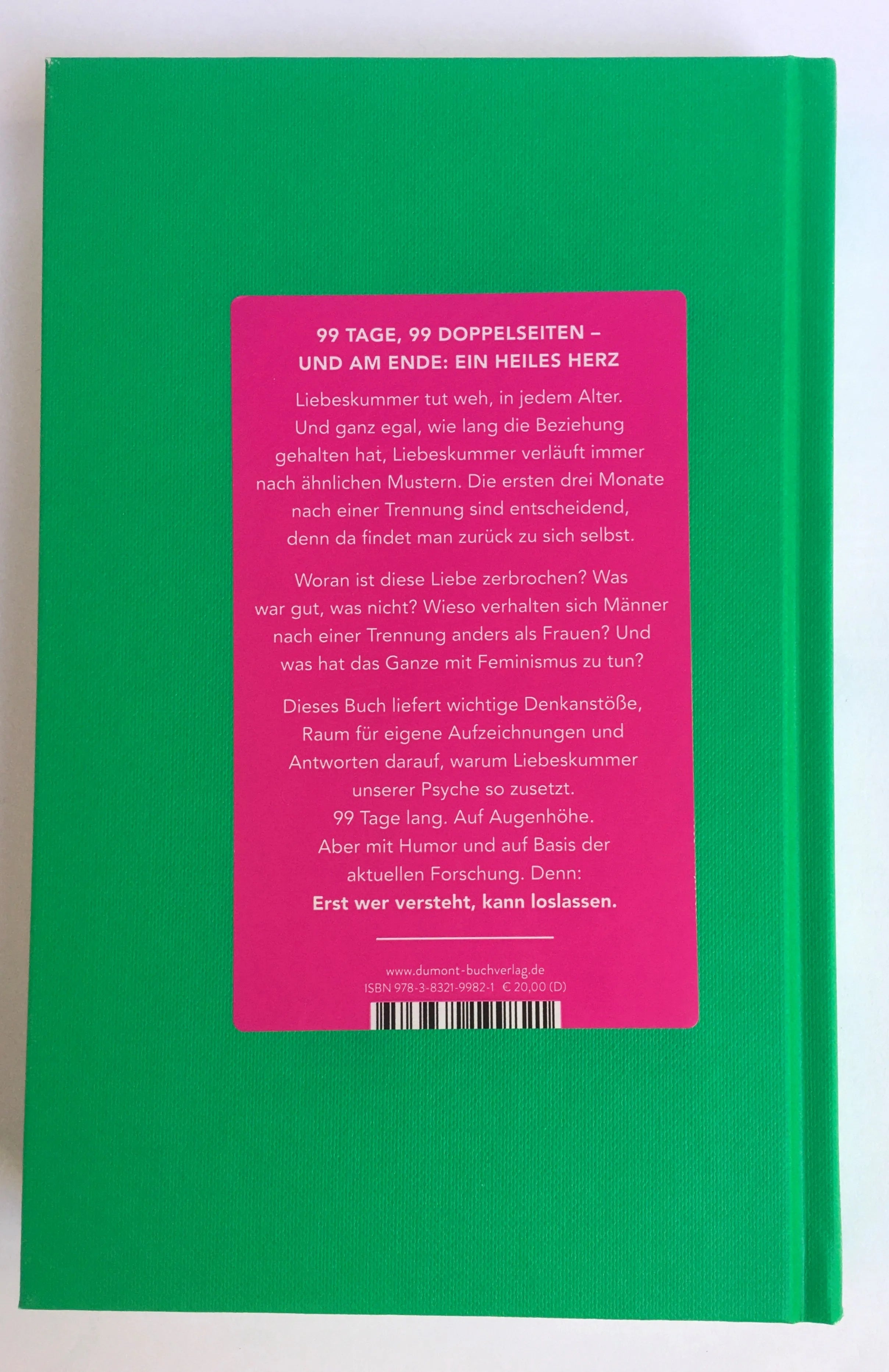 Buchrückseite von 'Liebeskummer bewältigen in 99 Tagen' mit Klappentext - Gebundene Ausgabe