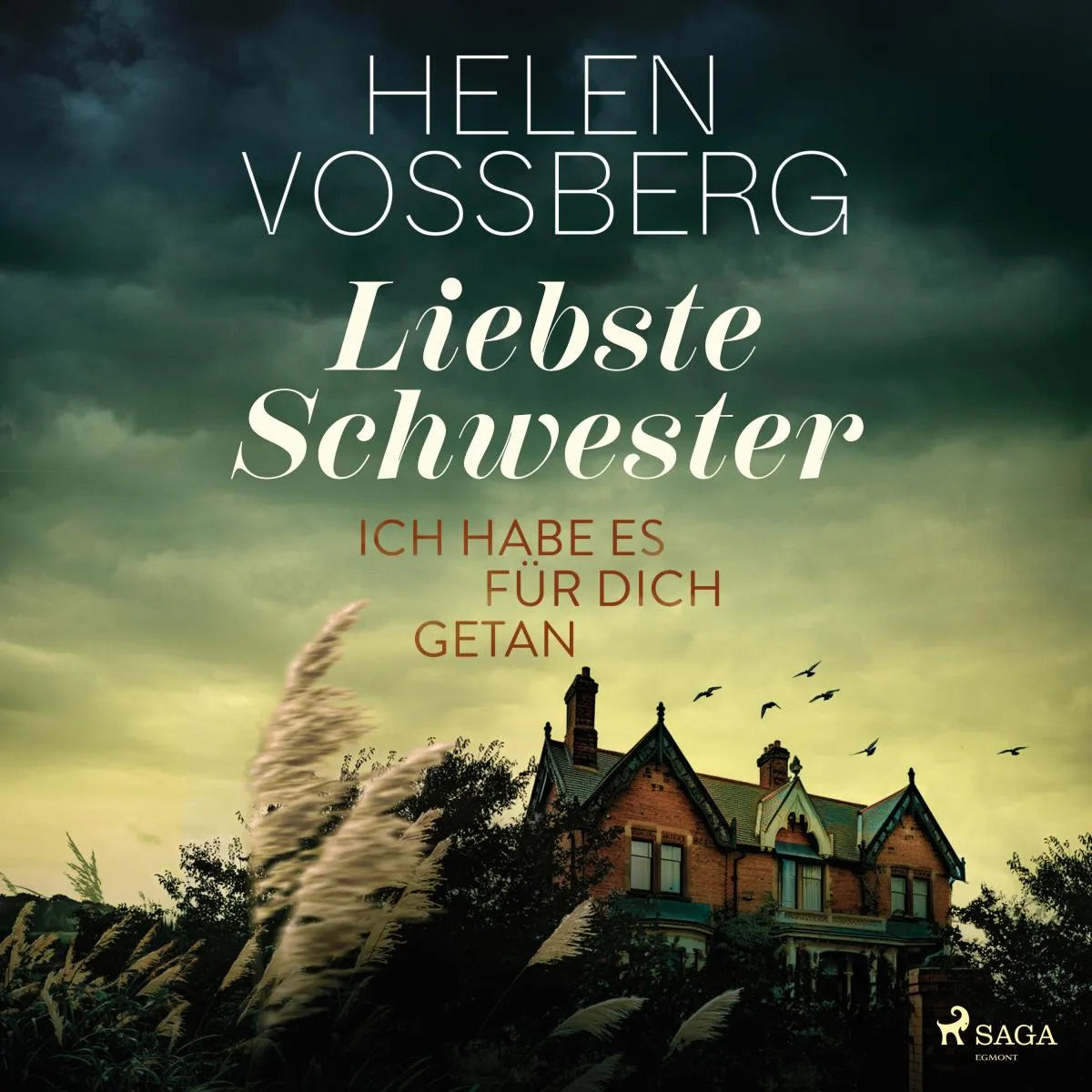 Cover: Liebste Schwester (Hörbuch Download) von Helen Vossberg