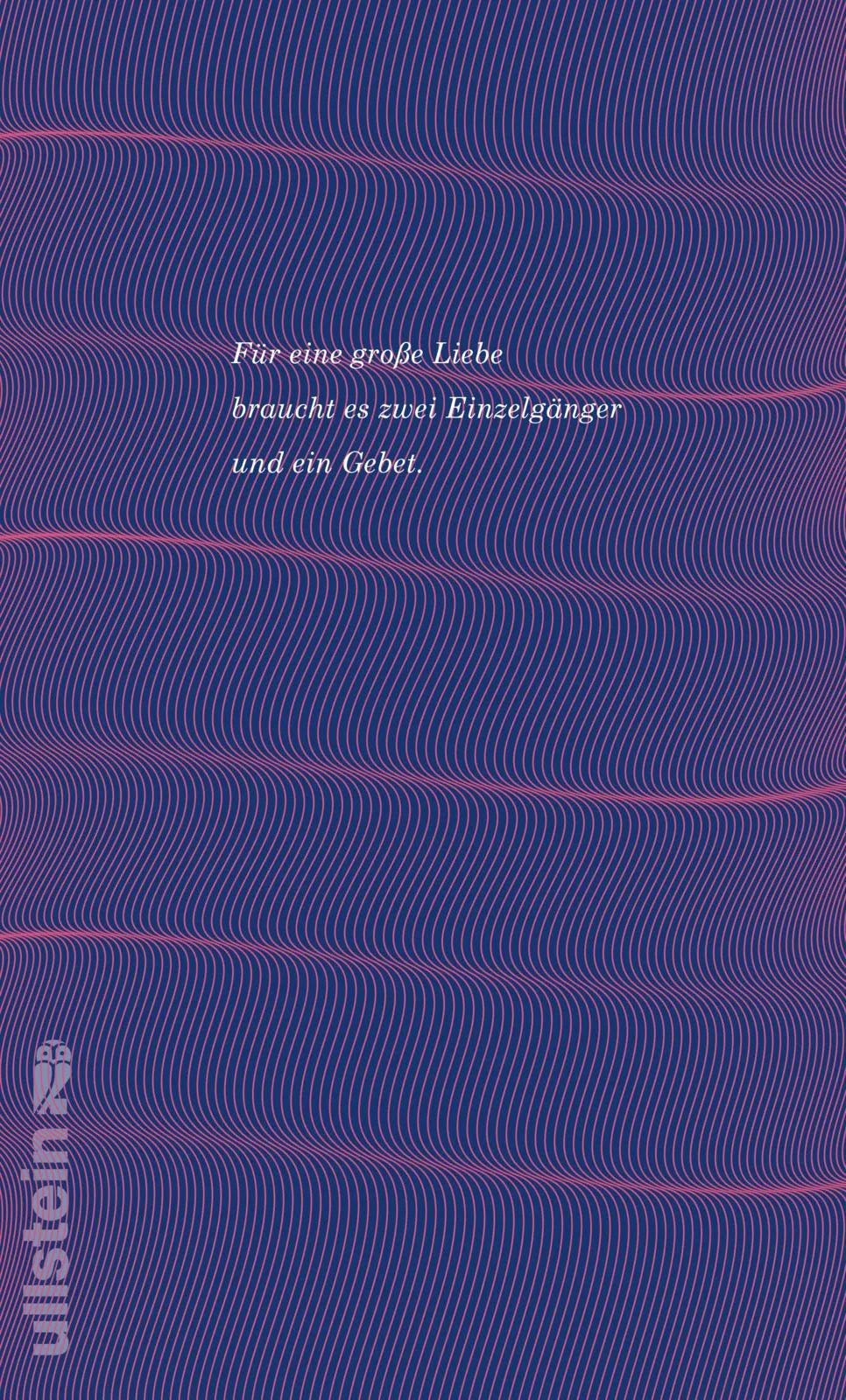Buchrückseite von 'Lied von der Liebe' mit Klappentext - Taschenbuch