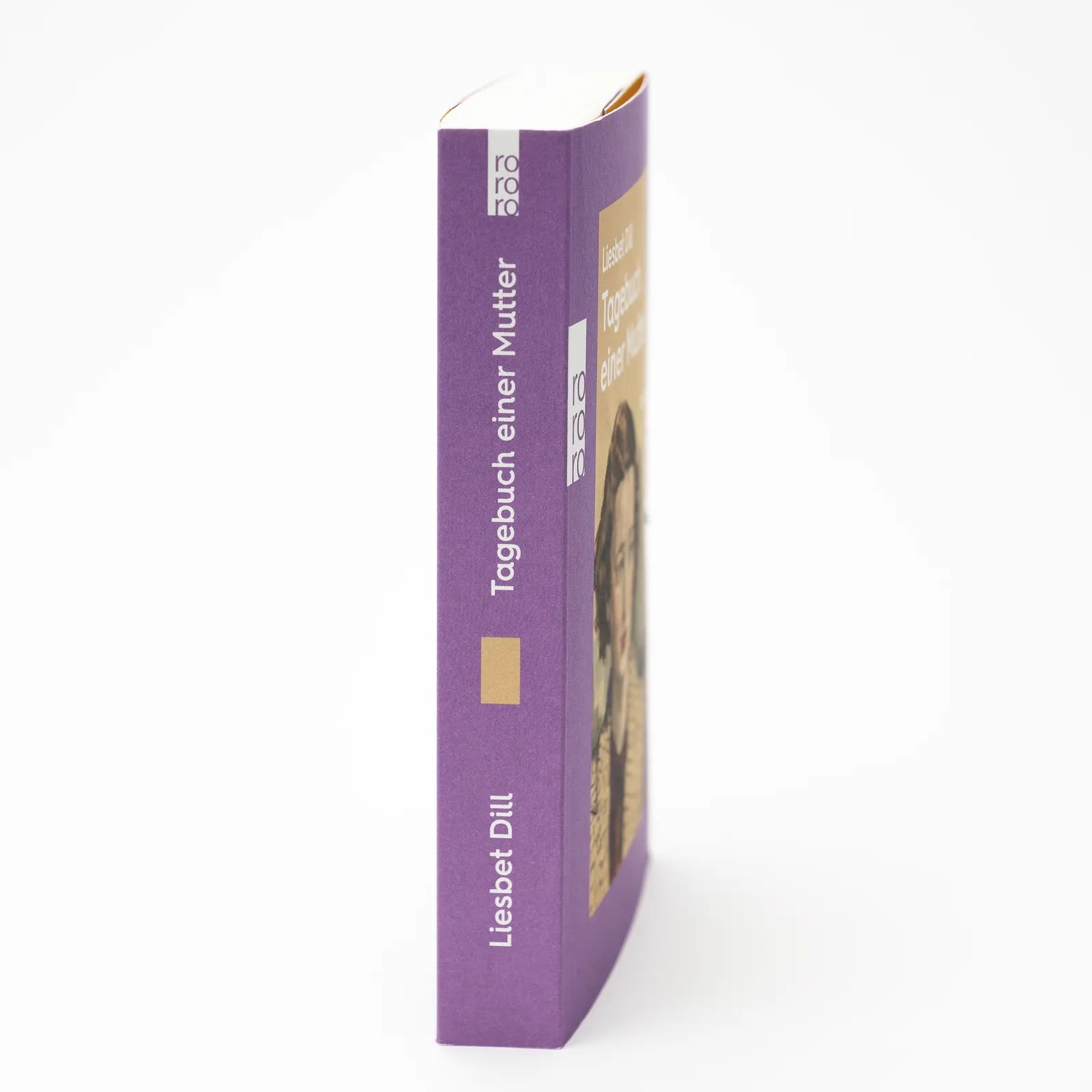 Produktansicht: Tagebuch einer Mutter (Taschenbuch)