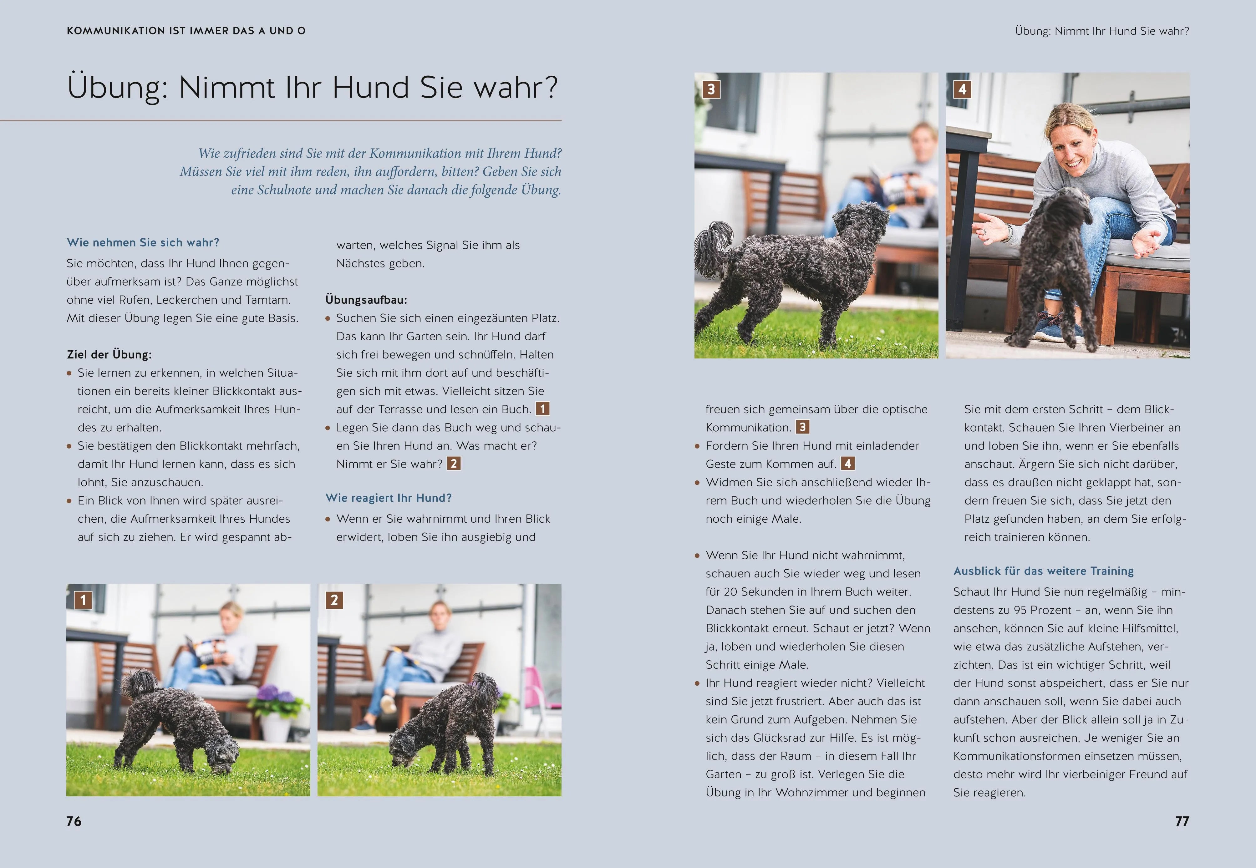 Abbildung von 'Life-Dog-Balance'