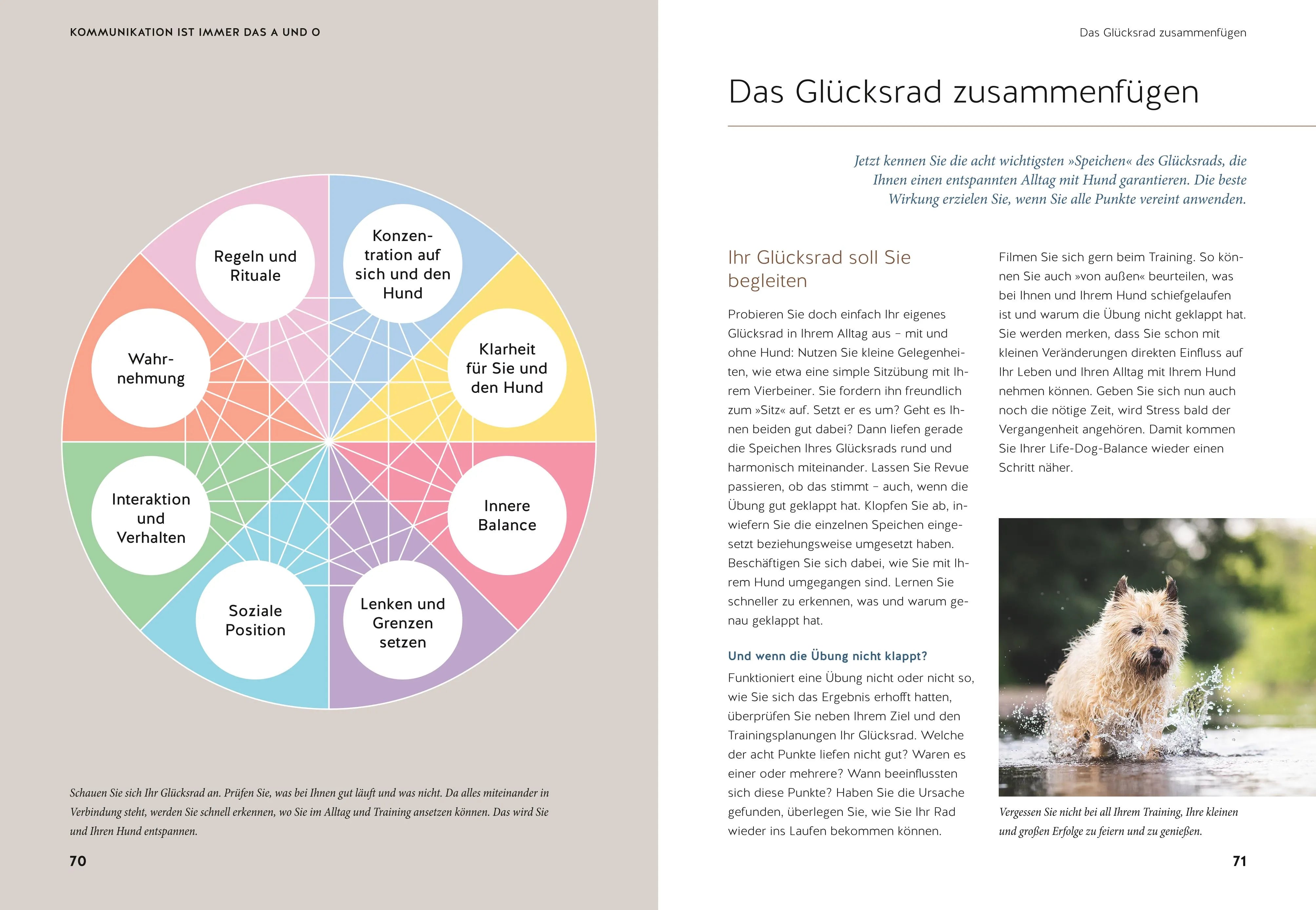 Produktansicht: Life-Dog-Balance (Gebundene Ausgabe)