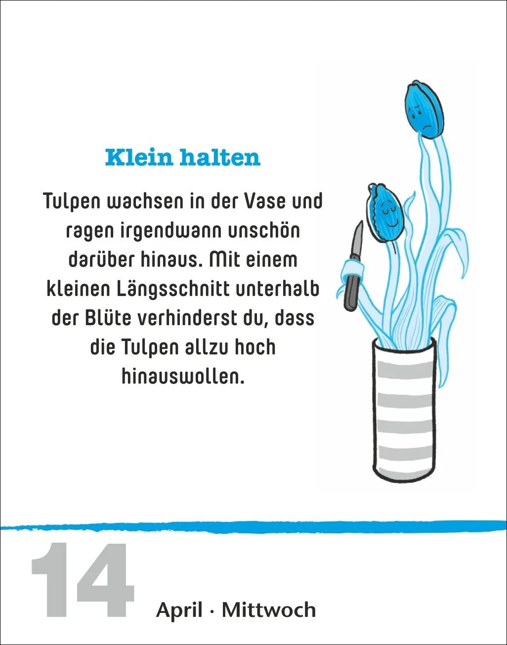 Lifehacks Tagesabreißkalender 2027 - Der hilfreichste Kalender aller Zeiten – Ansicht