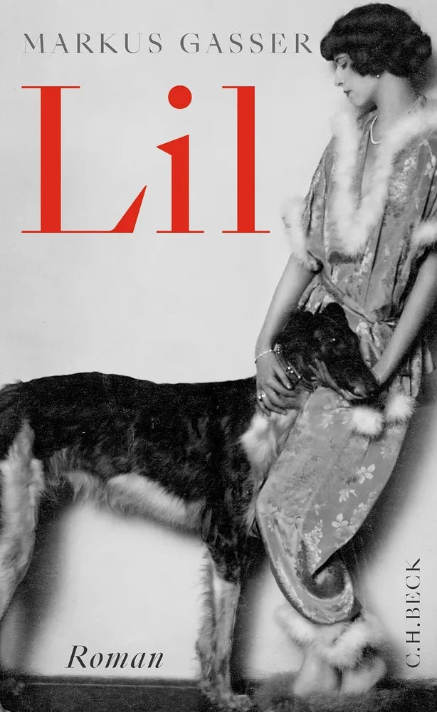 Cover: Lil (E-Book) von Markus Gasser