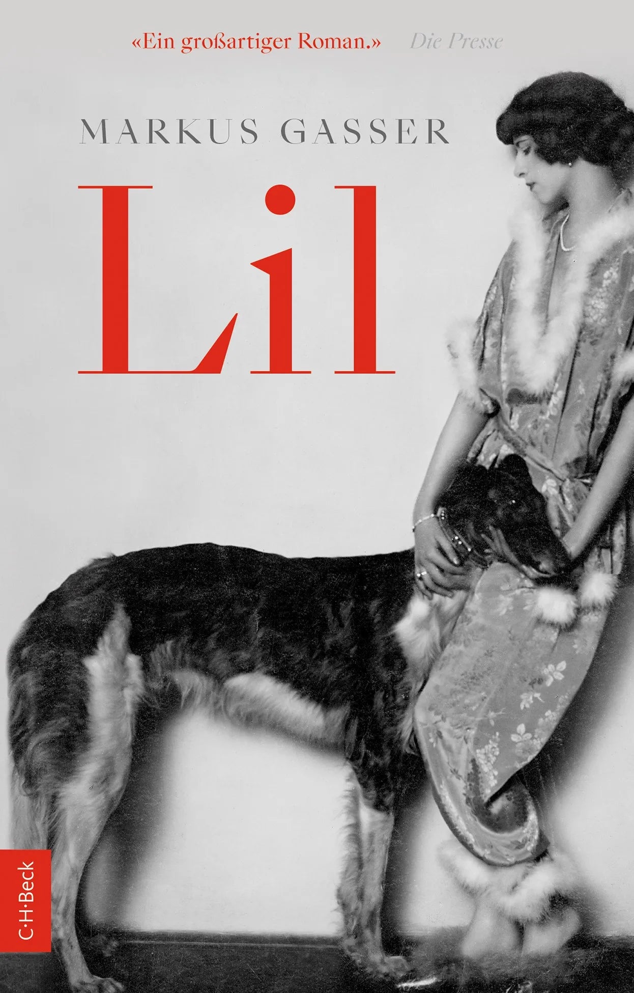 Cover: Lil (Taschenbuch) von Markus Gasser
