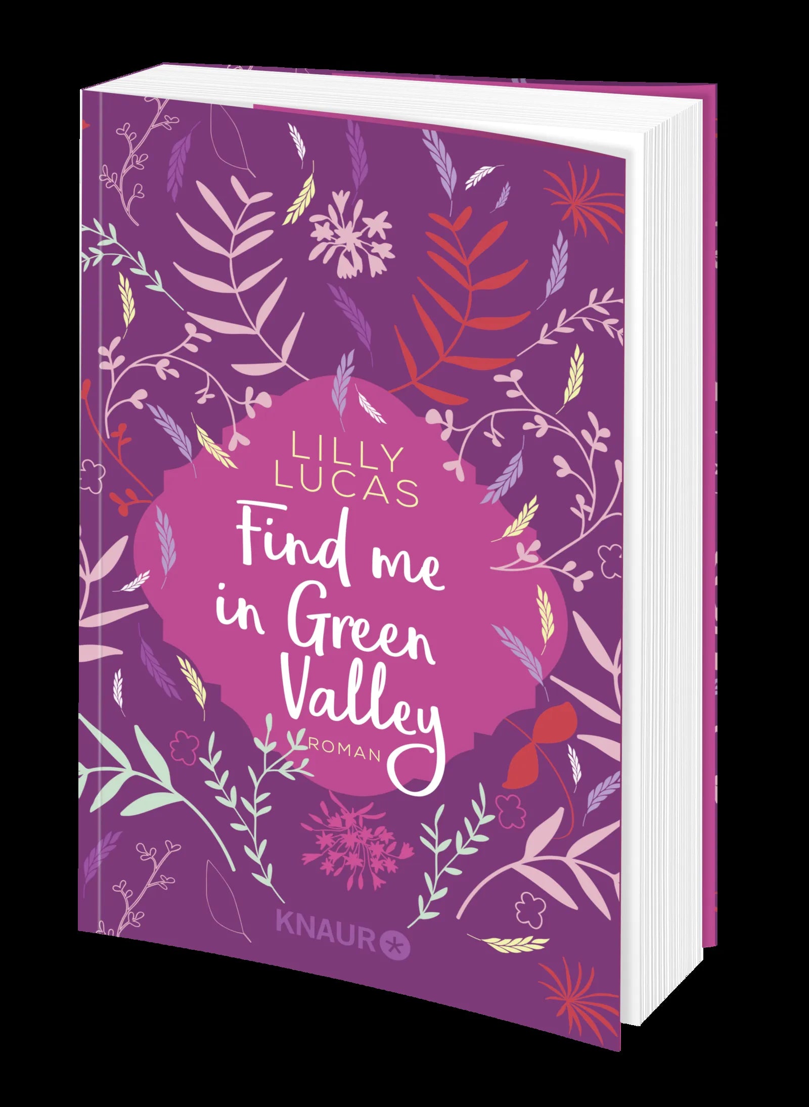 Produktansicht: Find me in Green Valley (Taschenbuch)
