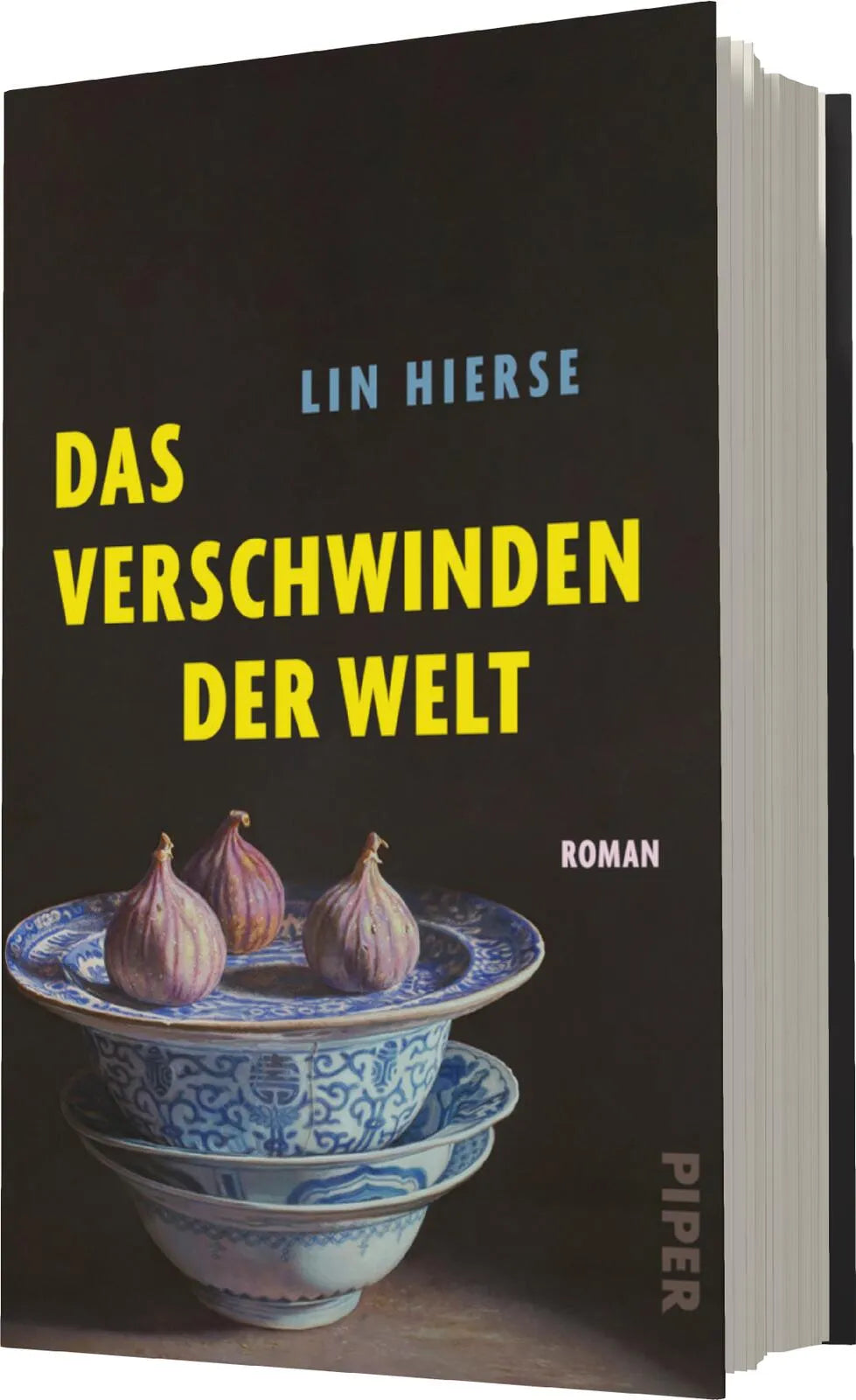 Produktansicht: Das Verschwinden der Welt (Gebundene Ausgabe)