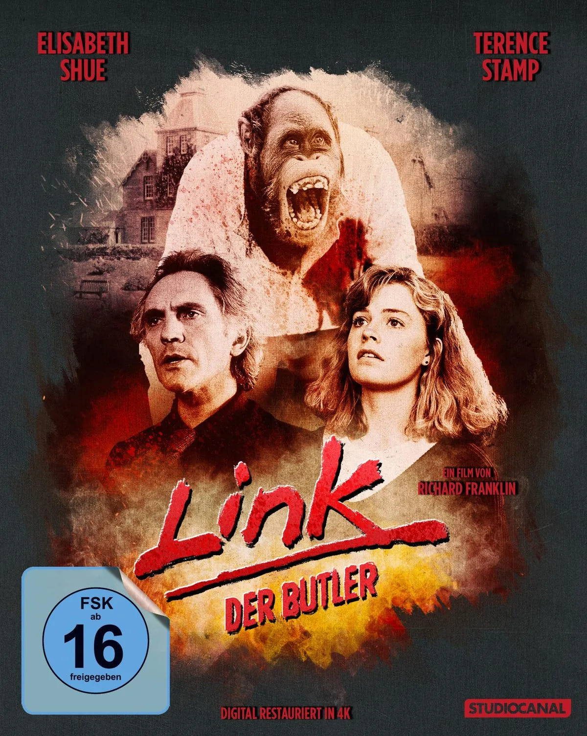 Link, der Butler - Blu-ray Disc