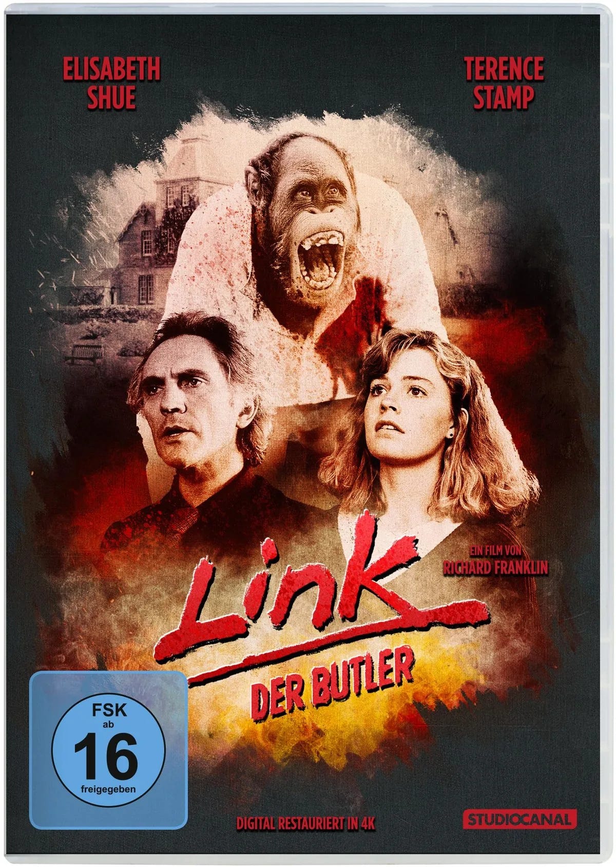 Link, der Butler - DVD
