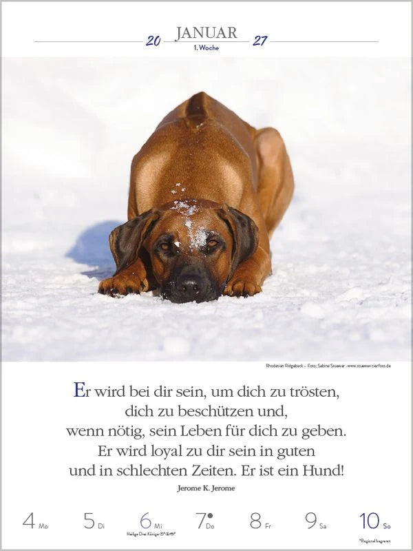 Literaturkalender Hunde 2027 – Ansicht