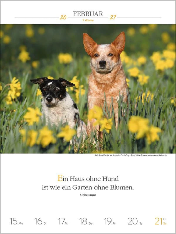 Literaturkalender Hunde 2027 – Ansicht