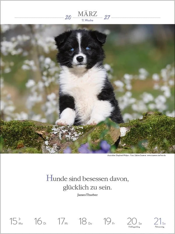 Literaturkalender Hunde 2027 – Ansicht