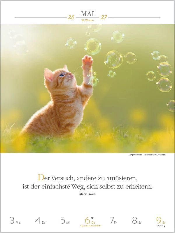 Literaturkalender Katzen 2027 – Ansicht