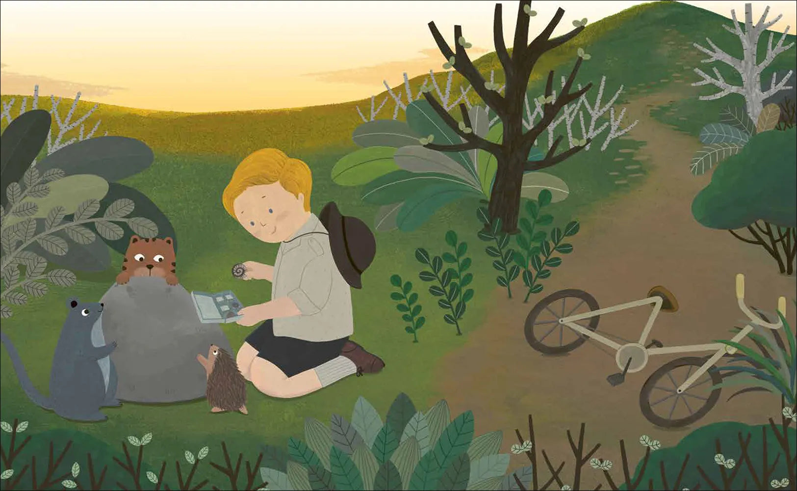 Produktansicht: Little People, Big Dreams – David Attenborough (Gebundene Ausgabe)