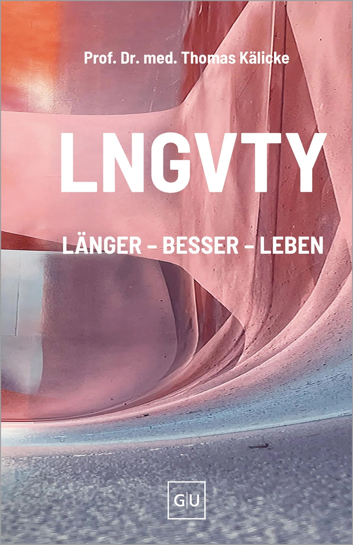 Cover: LNGVTY (E-Book) von Thomas Kälicke