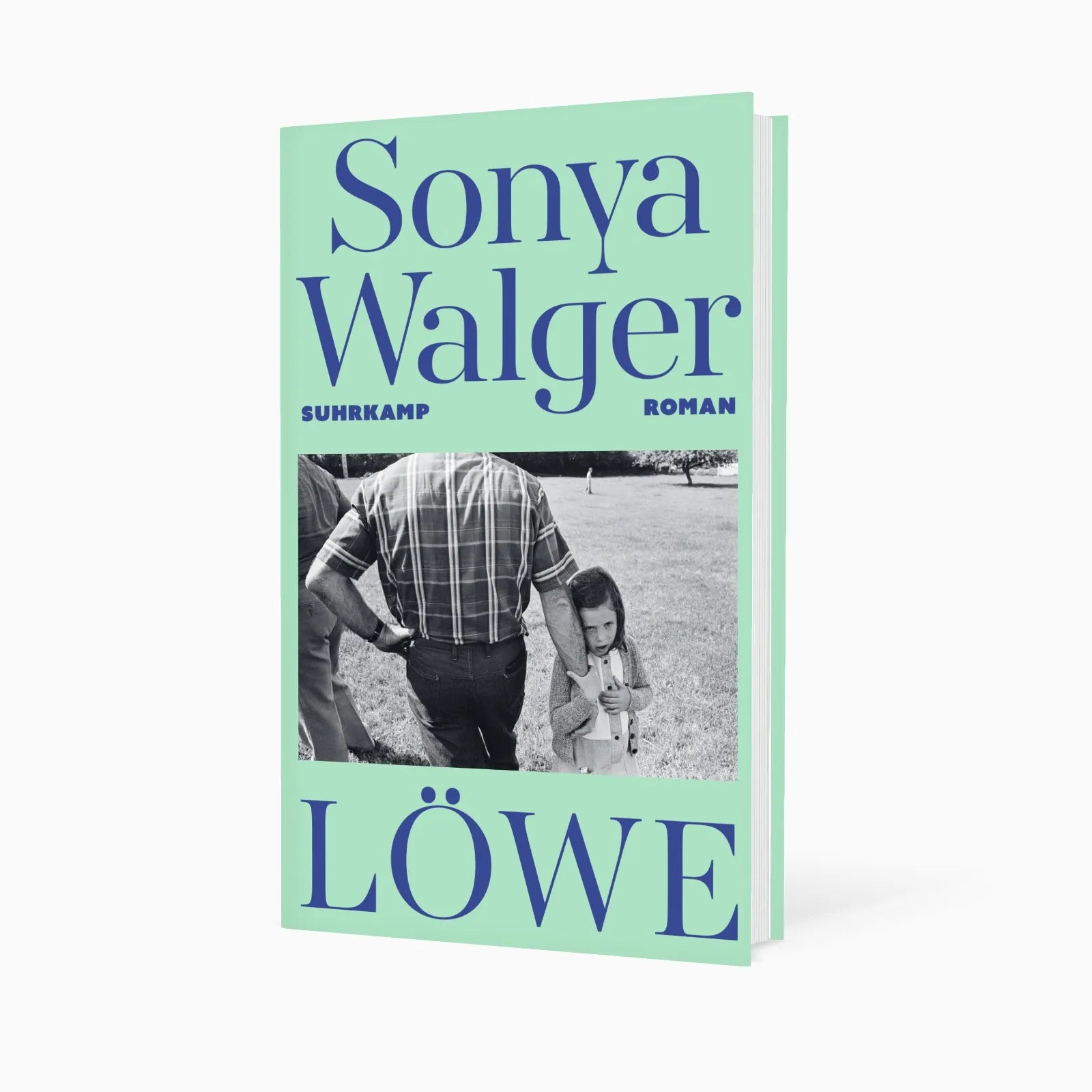 Detailansicht: Löwe (Hardcover)