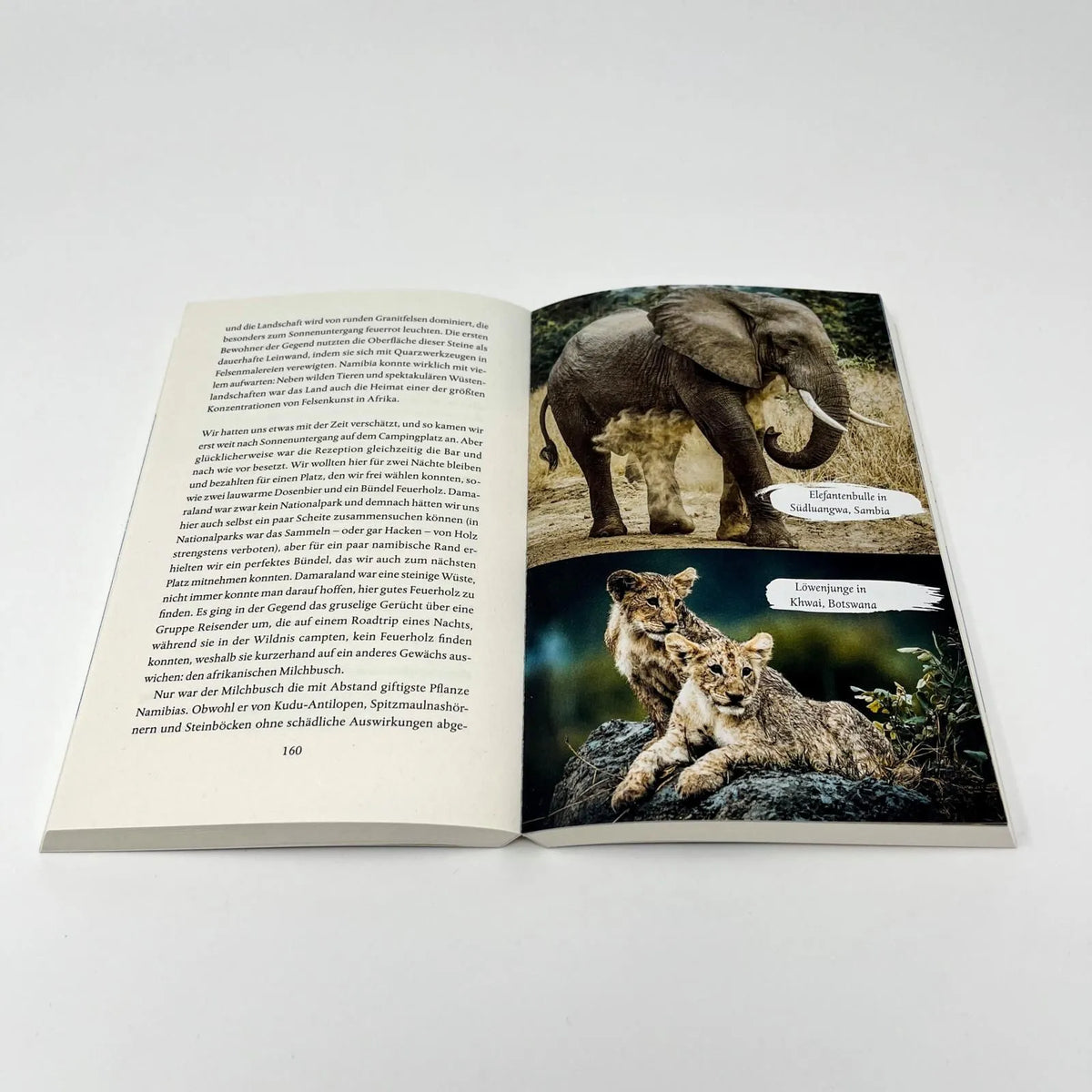 Detailansicht: Löwenherzen (Taschenbuch)