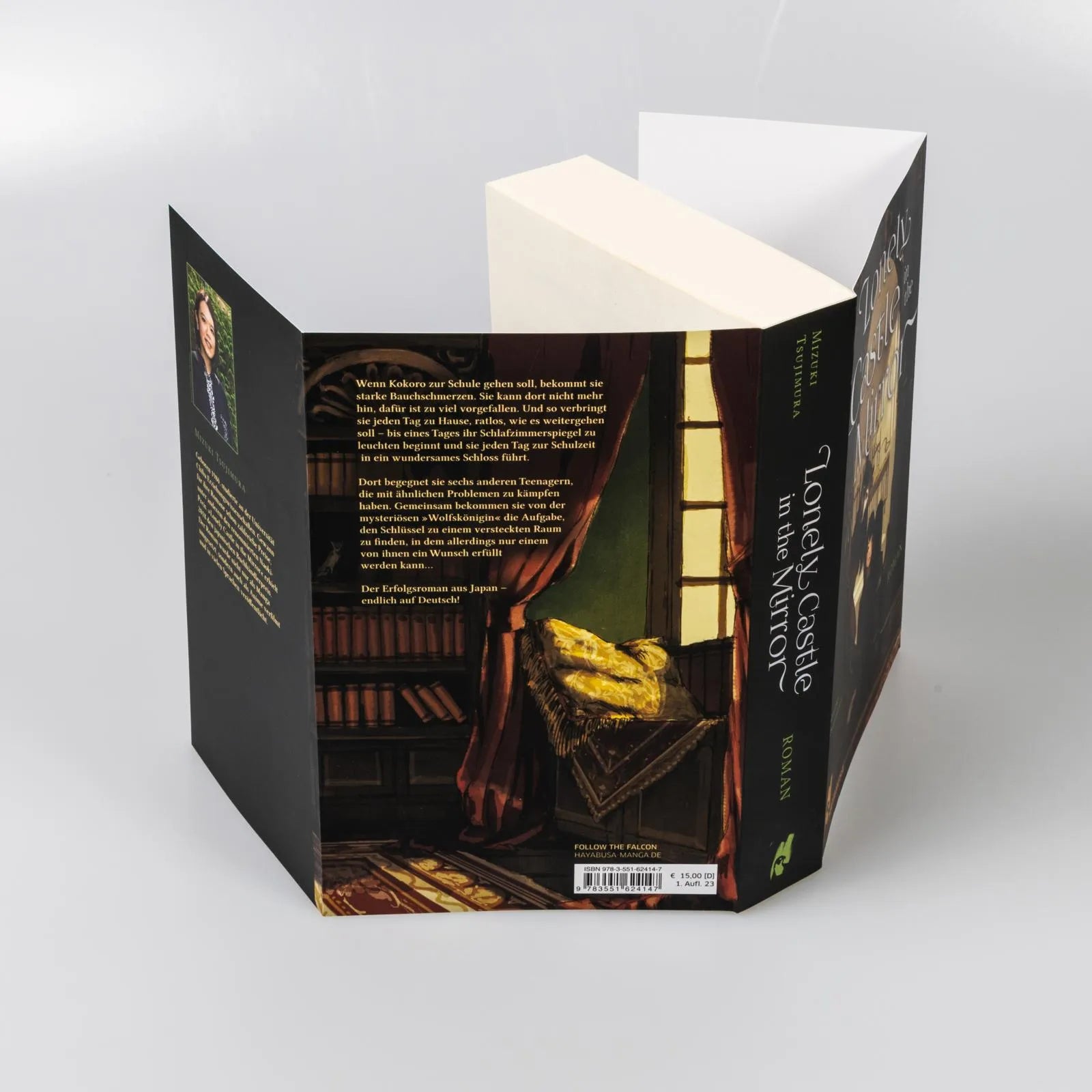 Abbildung von 'Lonely Castle in the Mirror – Roman'