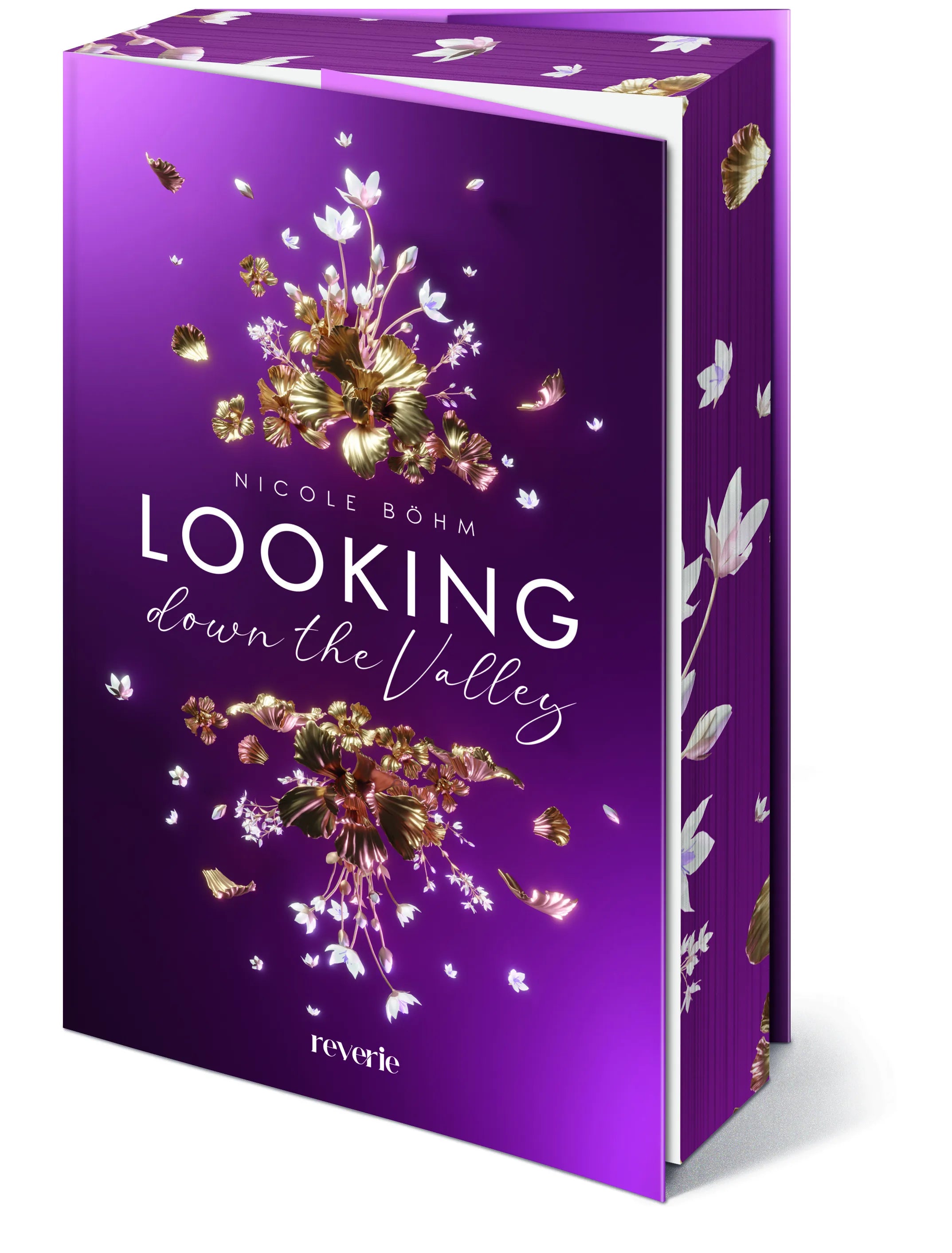 Detailansicht: Looking down the Valley (Paperback)