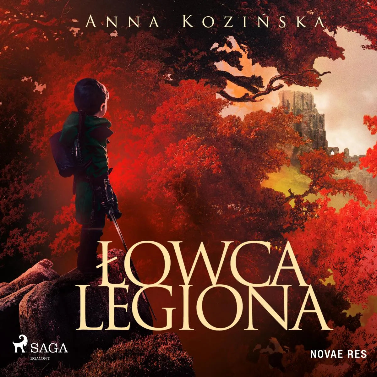 Cover: Łowca Legiona (Hörbuch Download) von Anna Kozinska