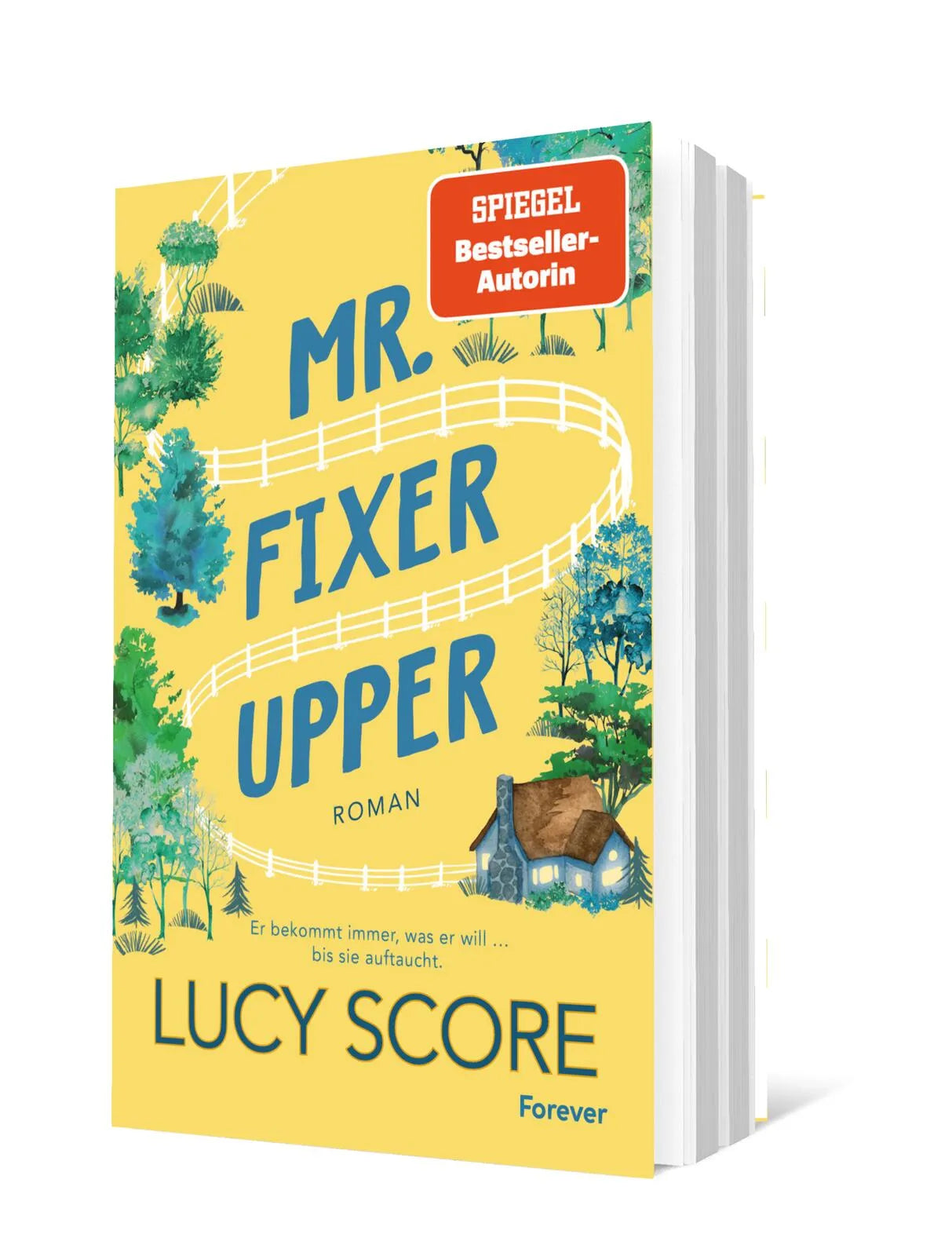 Produktansicht: Mr. Fixer Upper (Paperback)